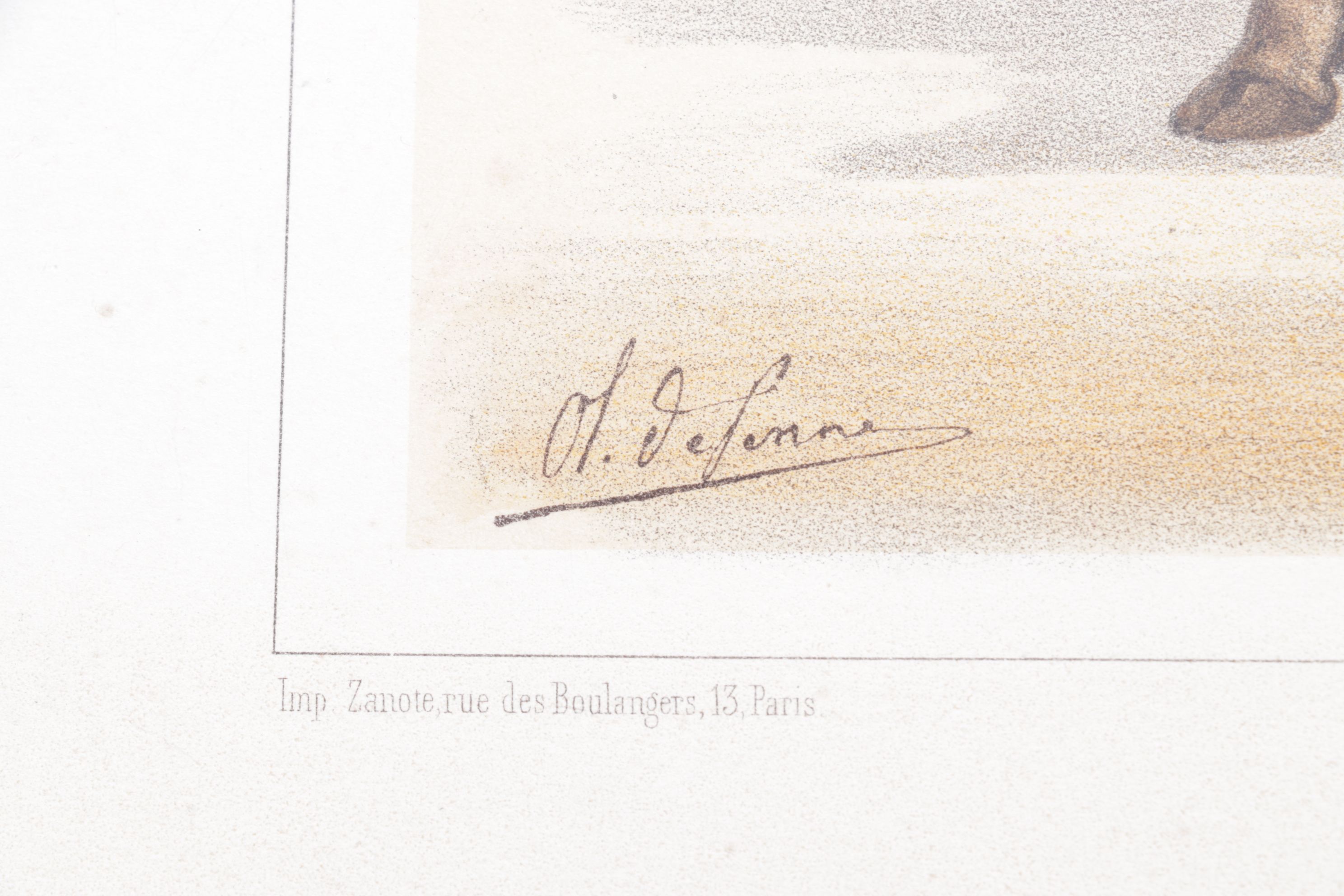 Charles Olivier de Penne Hand-Colored Lithographs of French Bovines, 1863