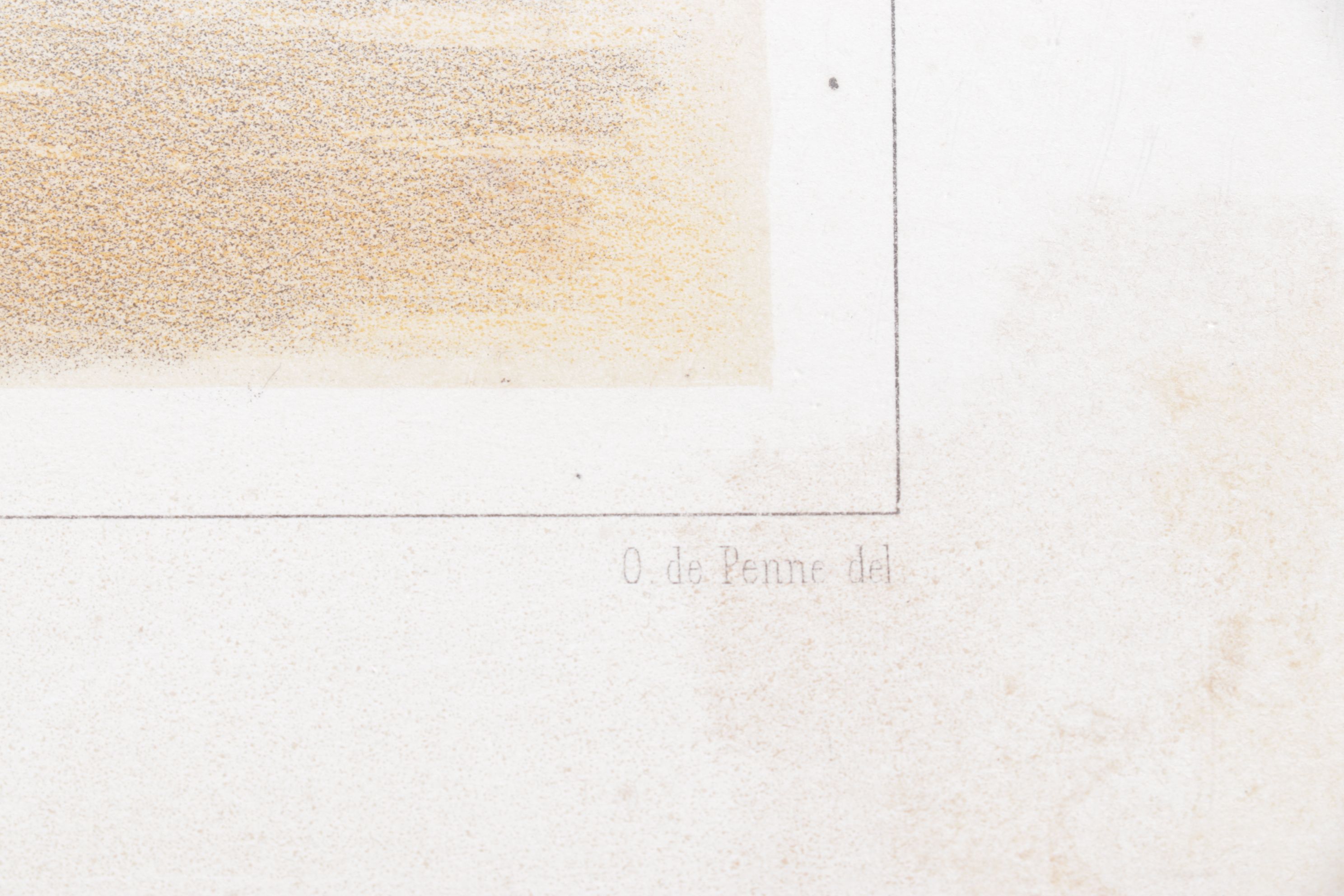 Charles Olivier de Penne Hand-Colored Lithographs of French Bovines, 1863