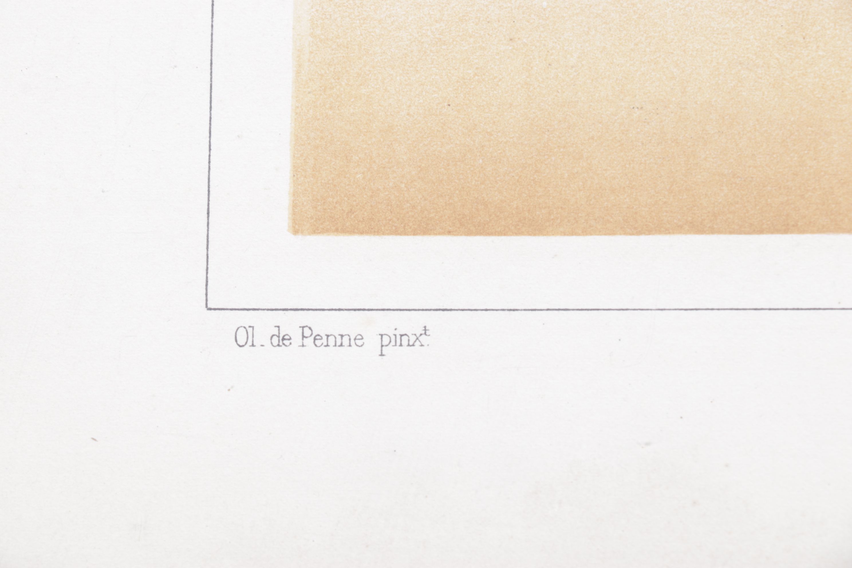 Charles Olivier de Penne Hand-Colored Lithographs of French Bovines, 1863