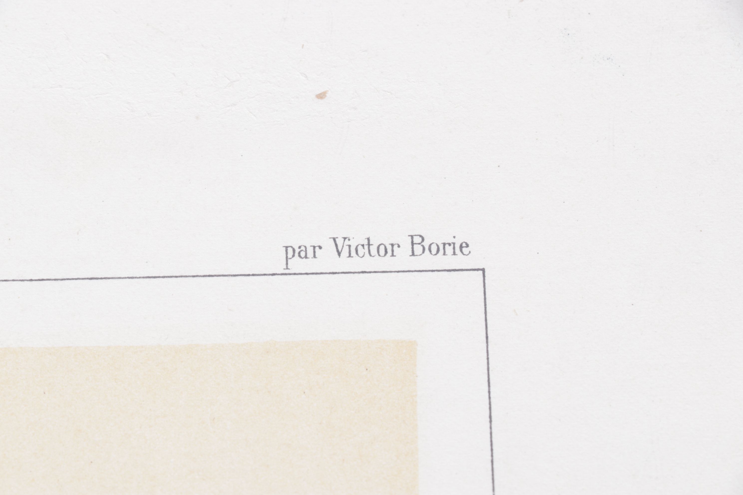 Charles Olivier de Penne Hand-Colored Lithographs of French Bovines, 1863