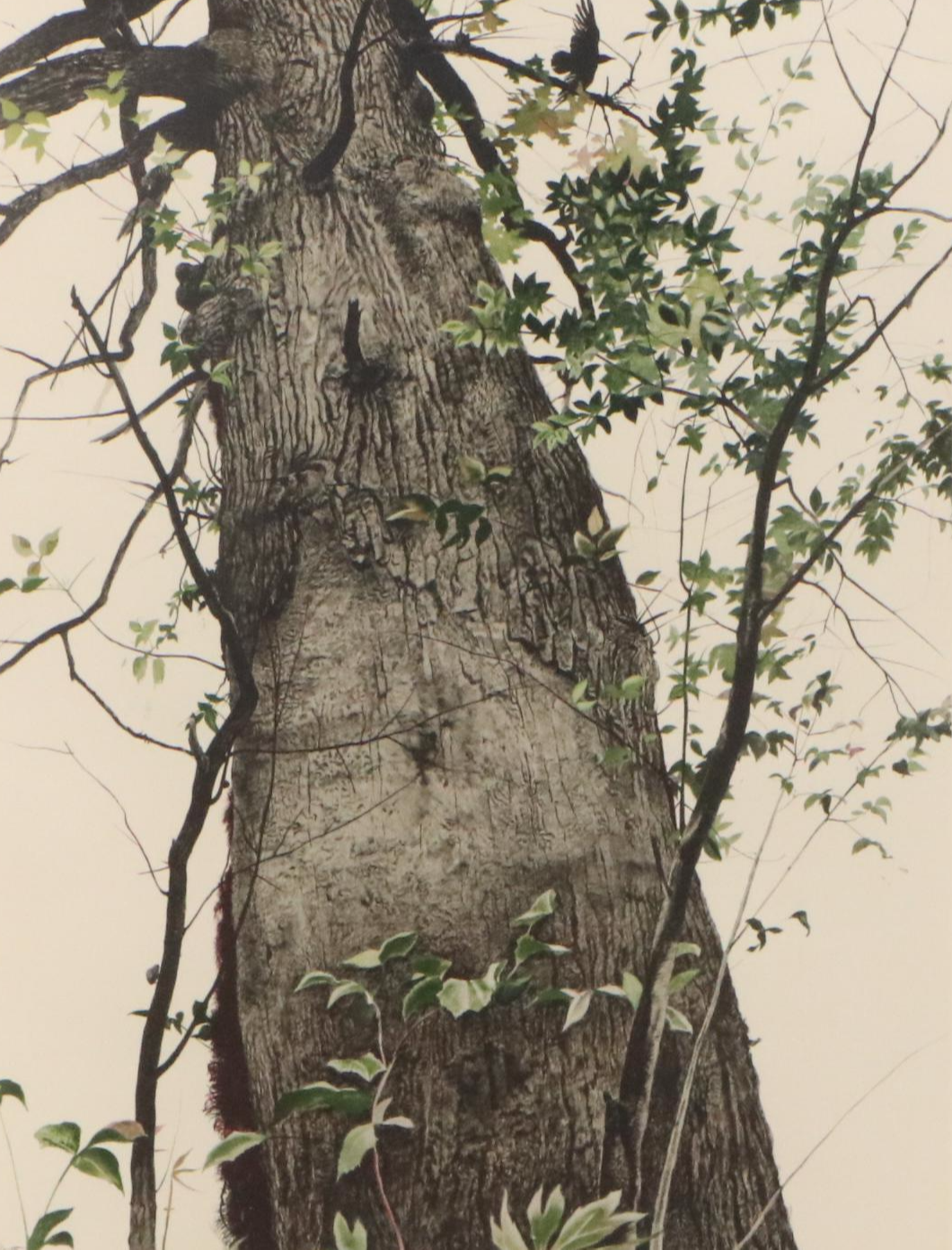 Andrew Wyeth Color Lithograph "The Oak," Mid to Late 20th Century