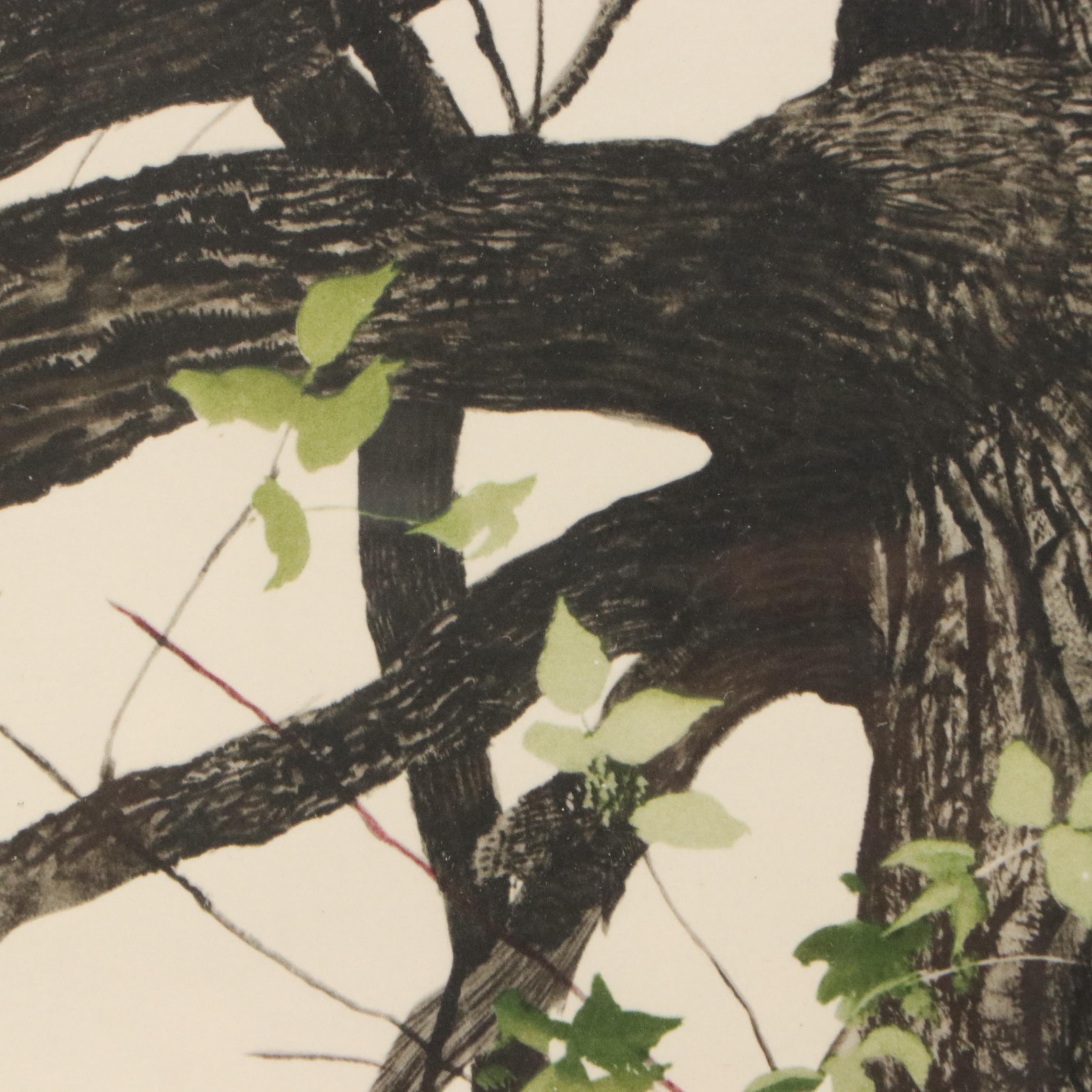 Andrew Wyeth Color Lithograph "The Oak," Mid to Late 20th Century