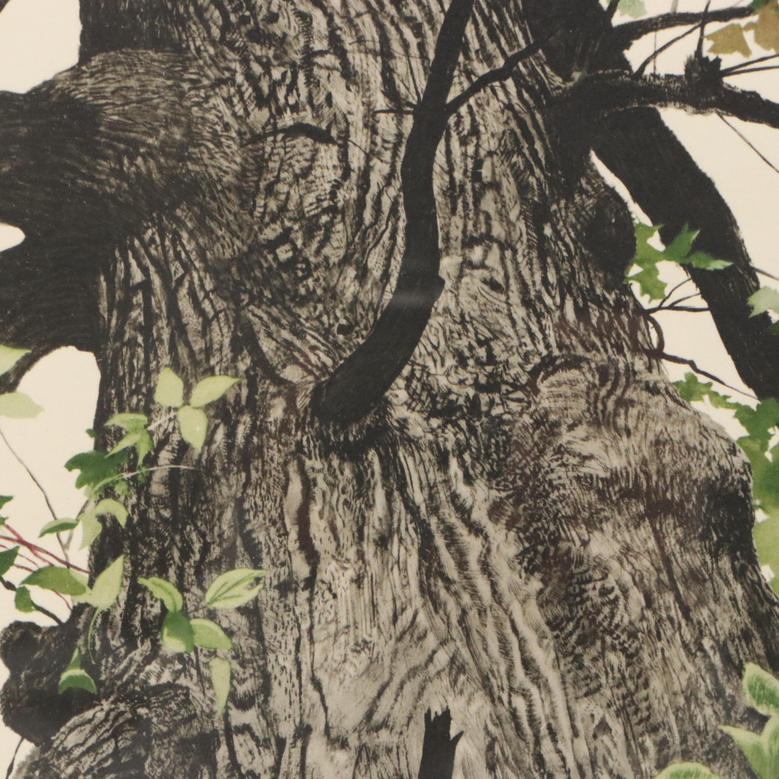 Andrew Wyeth Color Lithograph "The Oak," Mid to Late 20th Century