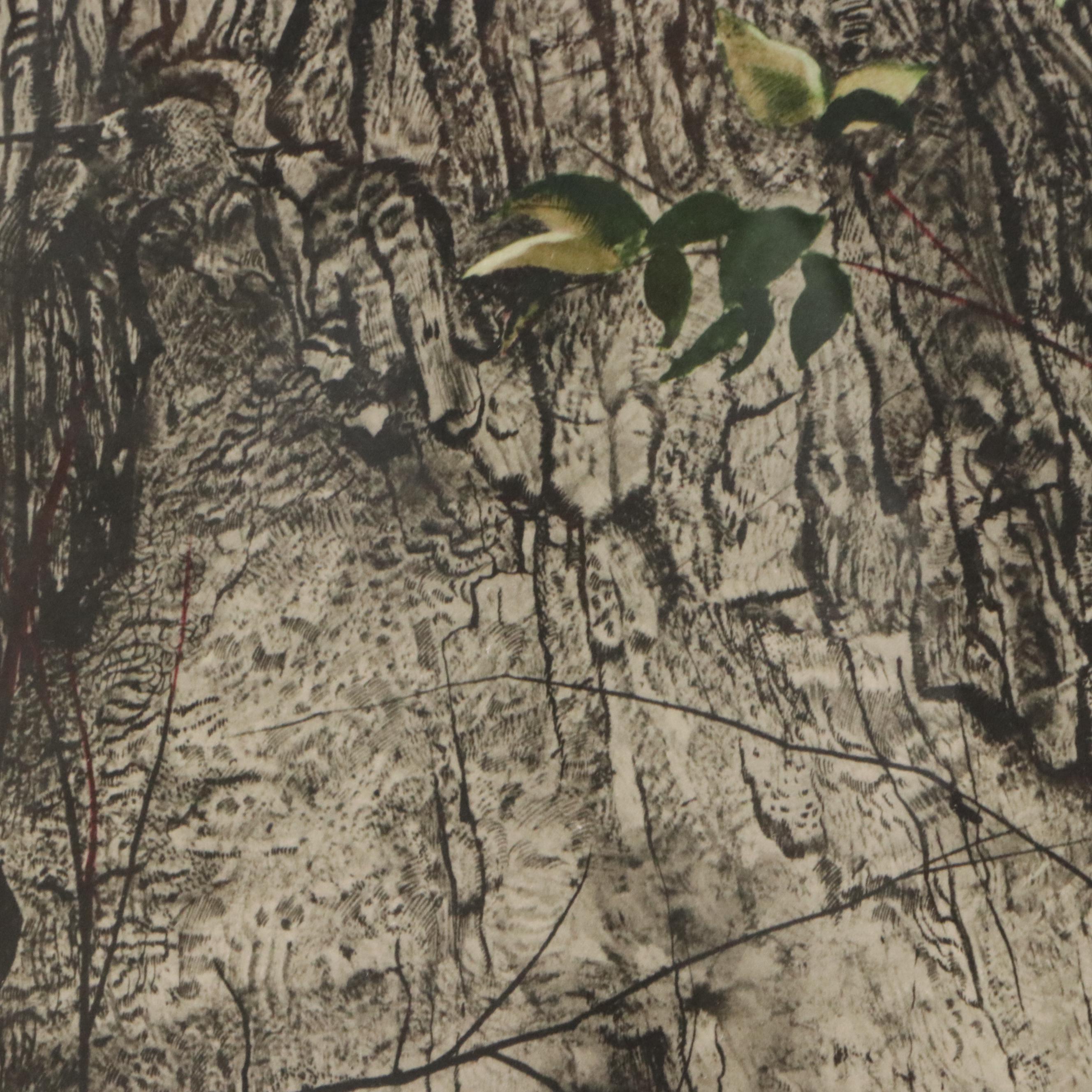 Andrew Wyeth Color Lithograph "The Oak," Mid to Late 20th Century