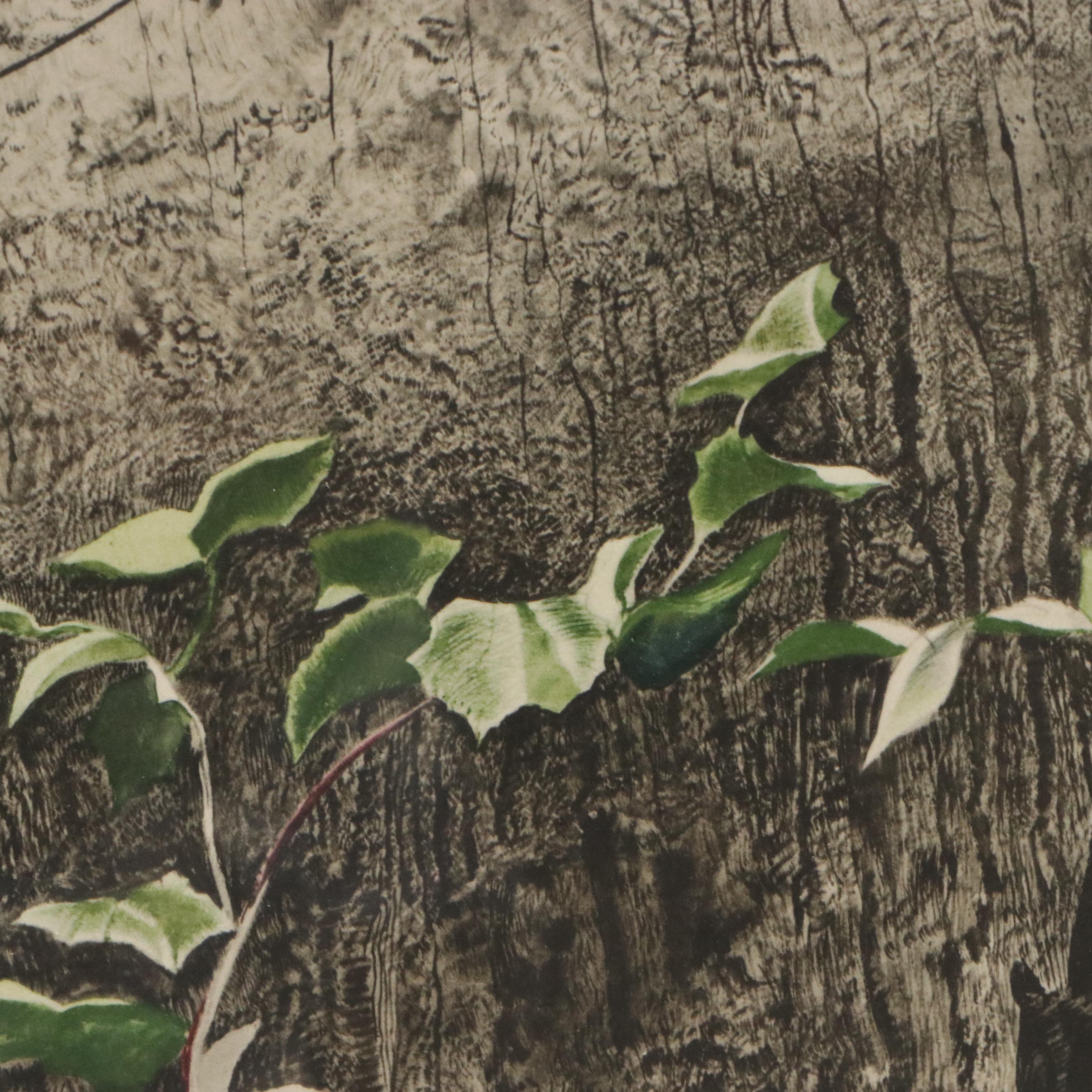 Andrew Wyeth Color Lithograph "The Oak," Mid to Late 20th Century