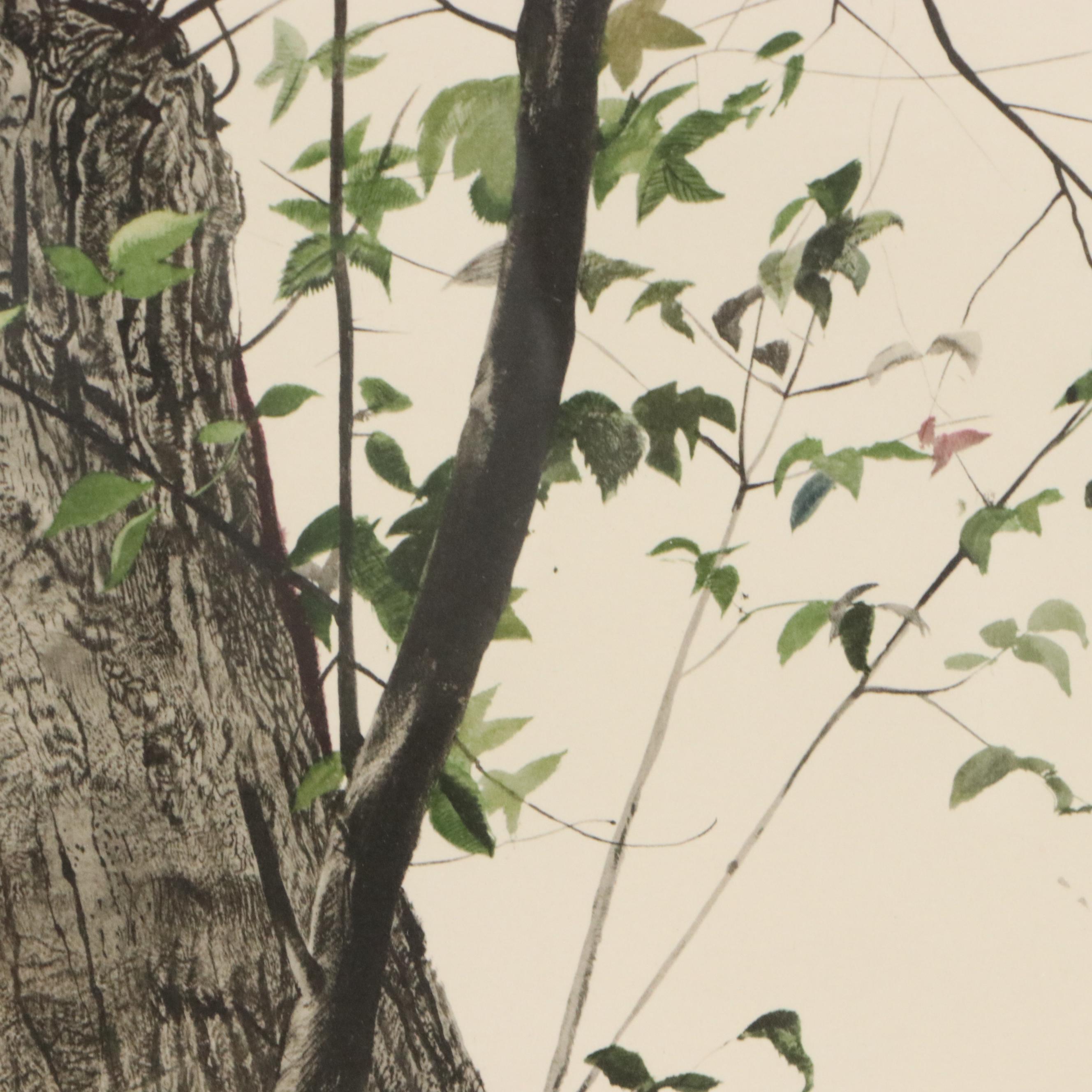 Andrew Wyeth Color Lithograph "The Oak," Mid to Late 20th Century