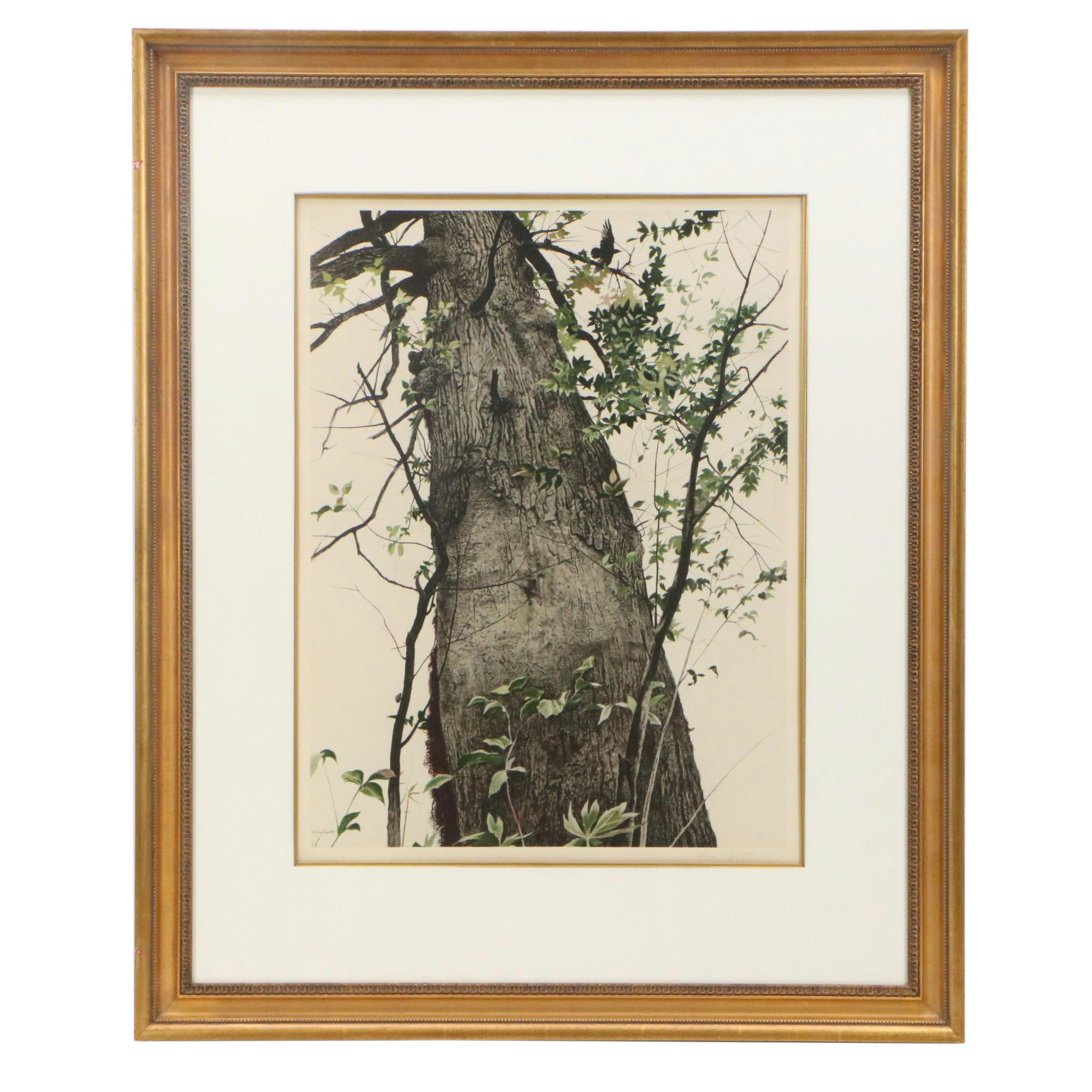 Andrew Wyeth Color Lithograph "The Oak," Mid to Late 20th Century