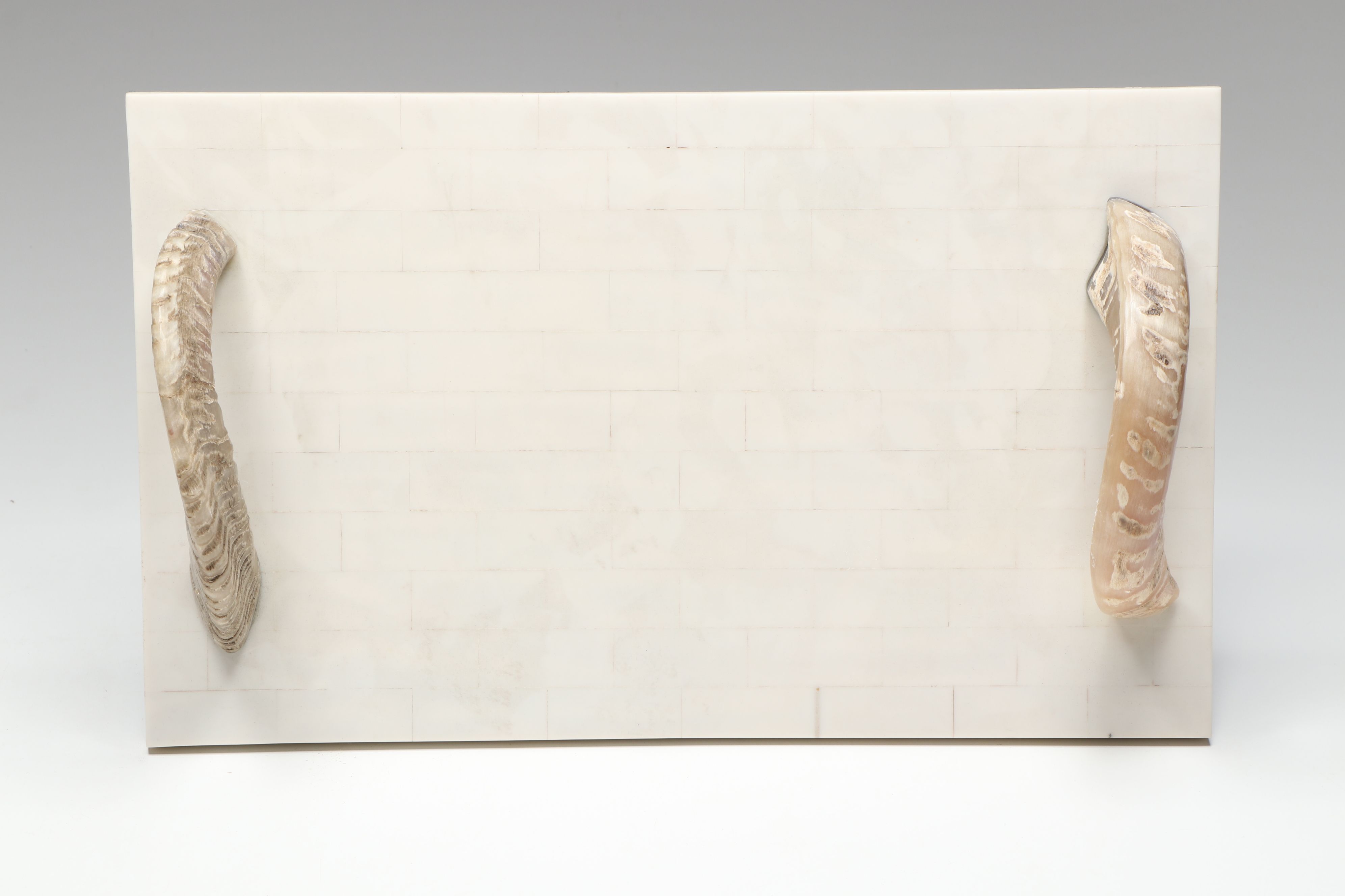 Carved Bone Boxes with Horn Handled Tray and Other Office Décor