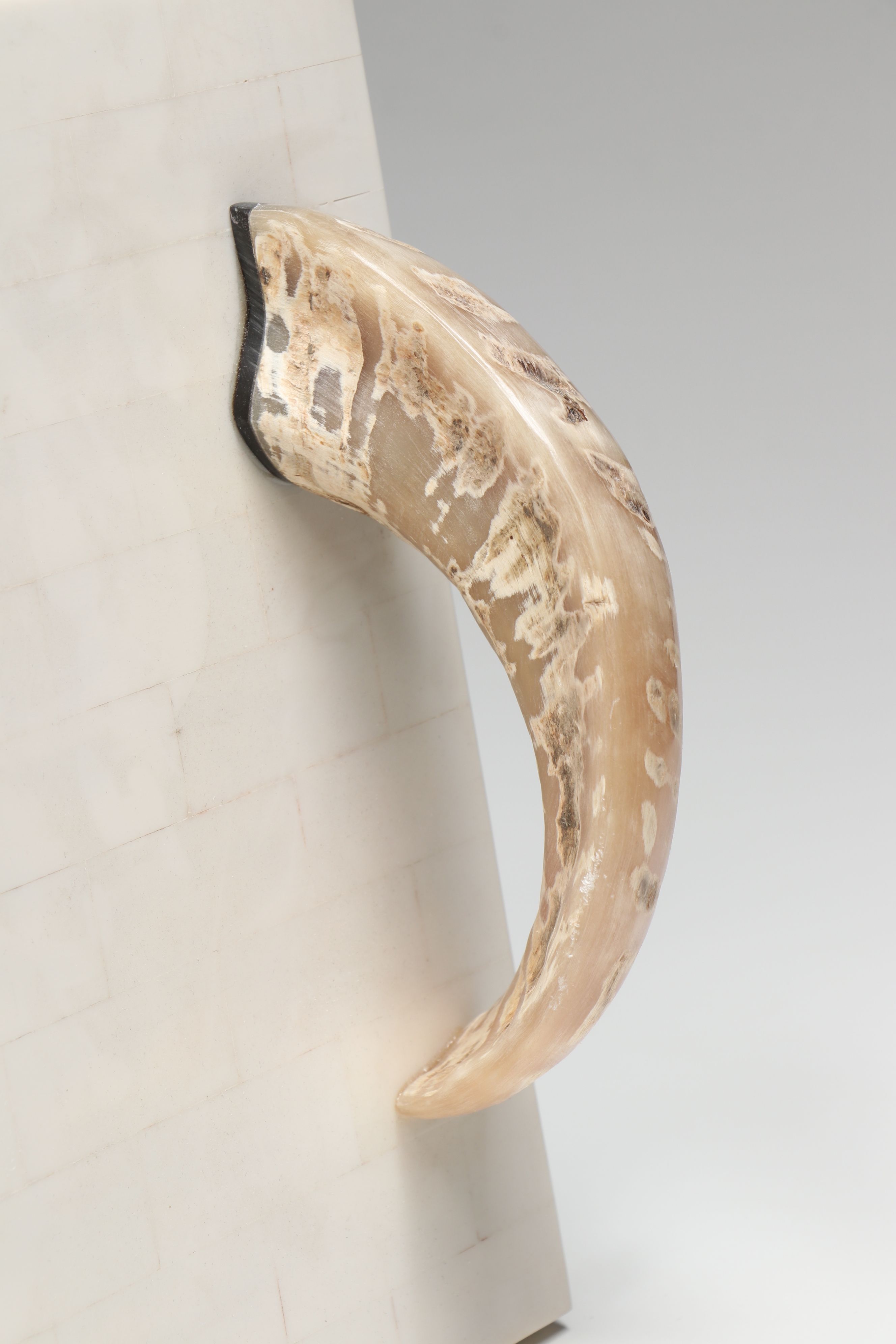 Carved Bone Boxes with Horn Handled Tray and Other Office Décor