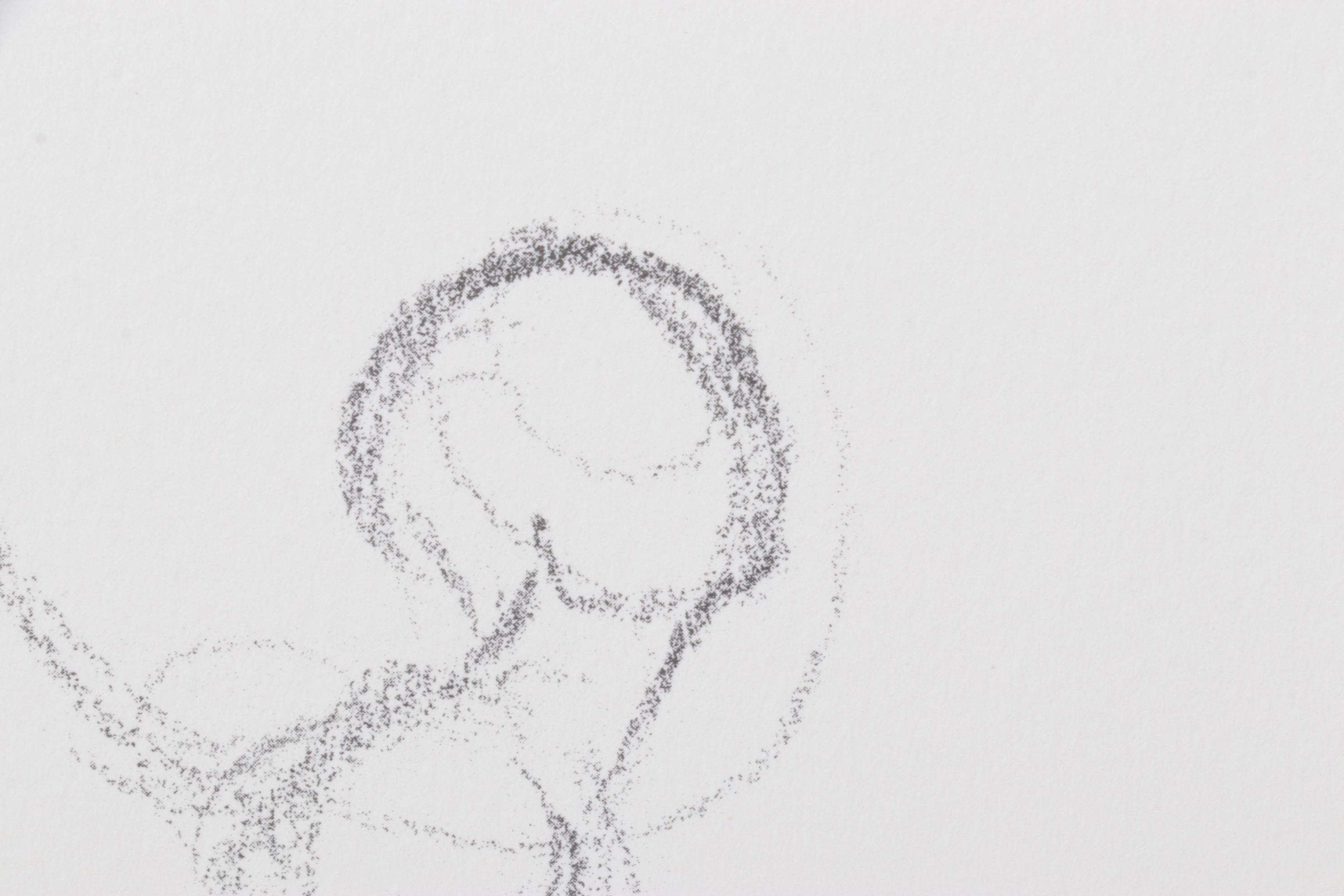 Stéphanie Barba Photogravure "L'énigme" from "Le Sacre du Printemps"