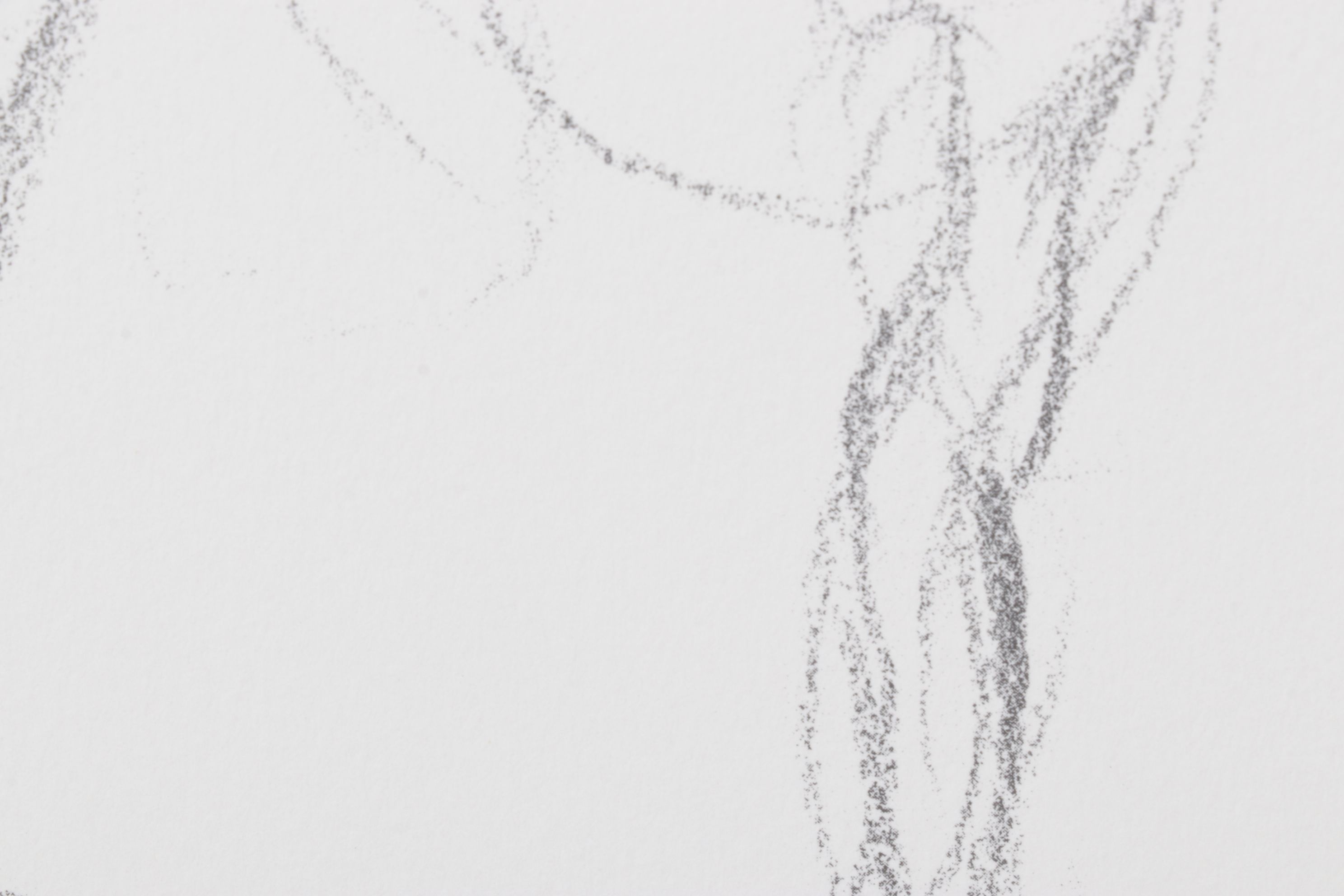 Stéphanie Barba Photogravure "L'énigme" from "Le Sacre du Printemps"