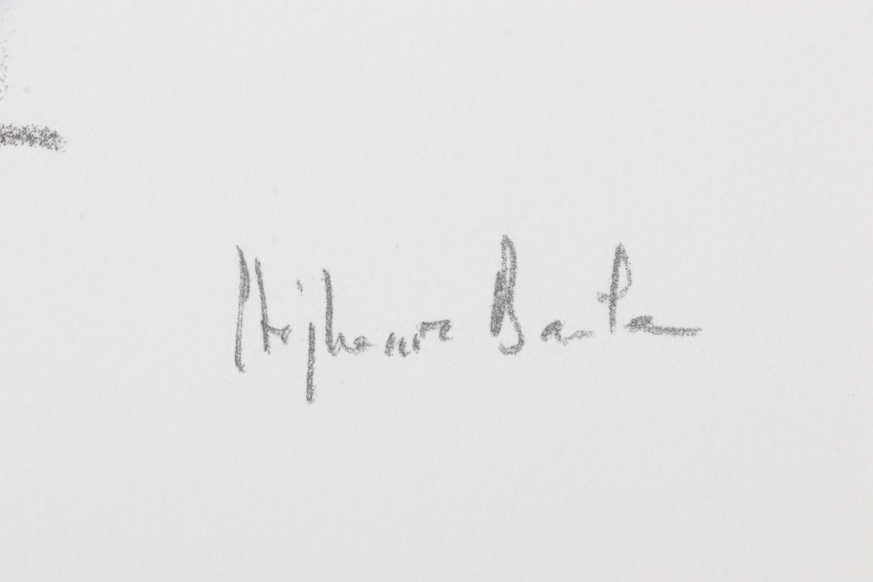 Stéphanie Barba Photogravure "L'énigme" from "Le Sacre du Printemps"