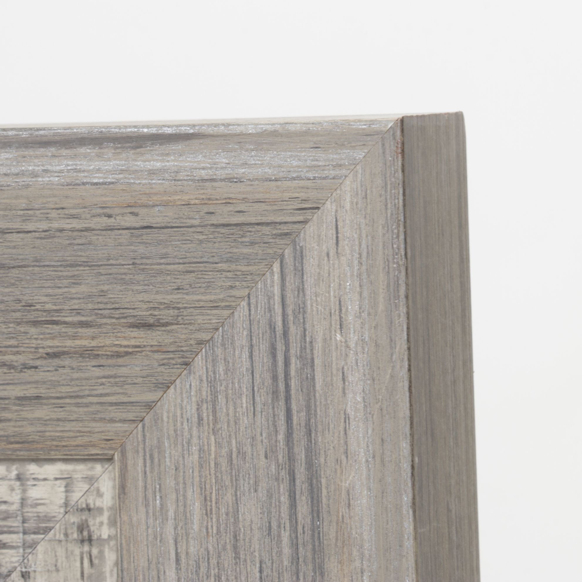 Offset Lithograph After Charley Harper "Bark Eyes", 1986