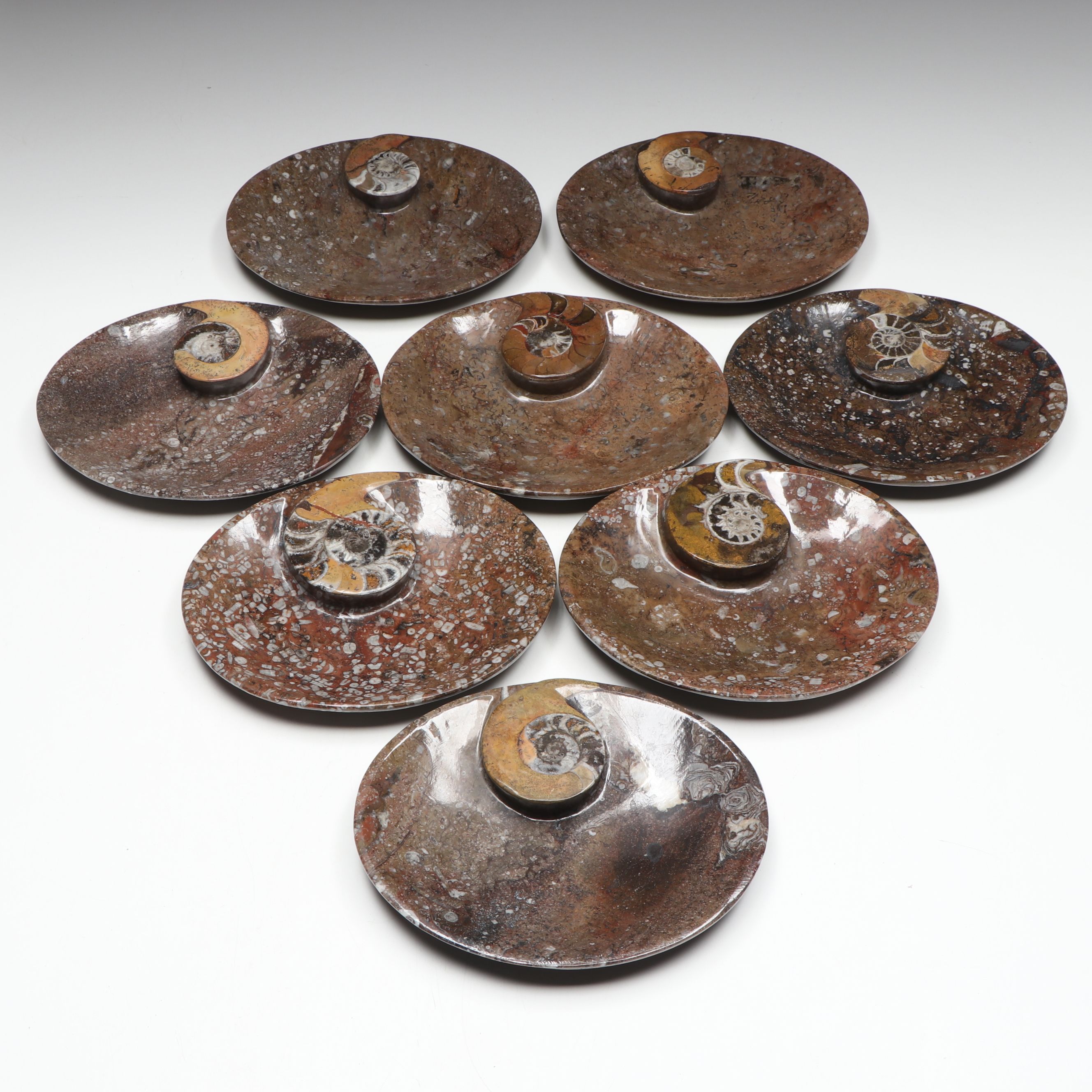 Carved and Polished Ammonoid in Matrix Low Bowls