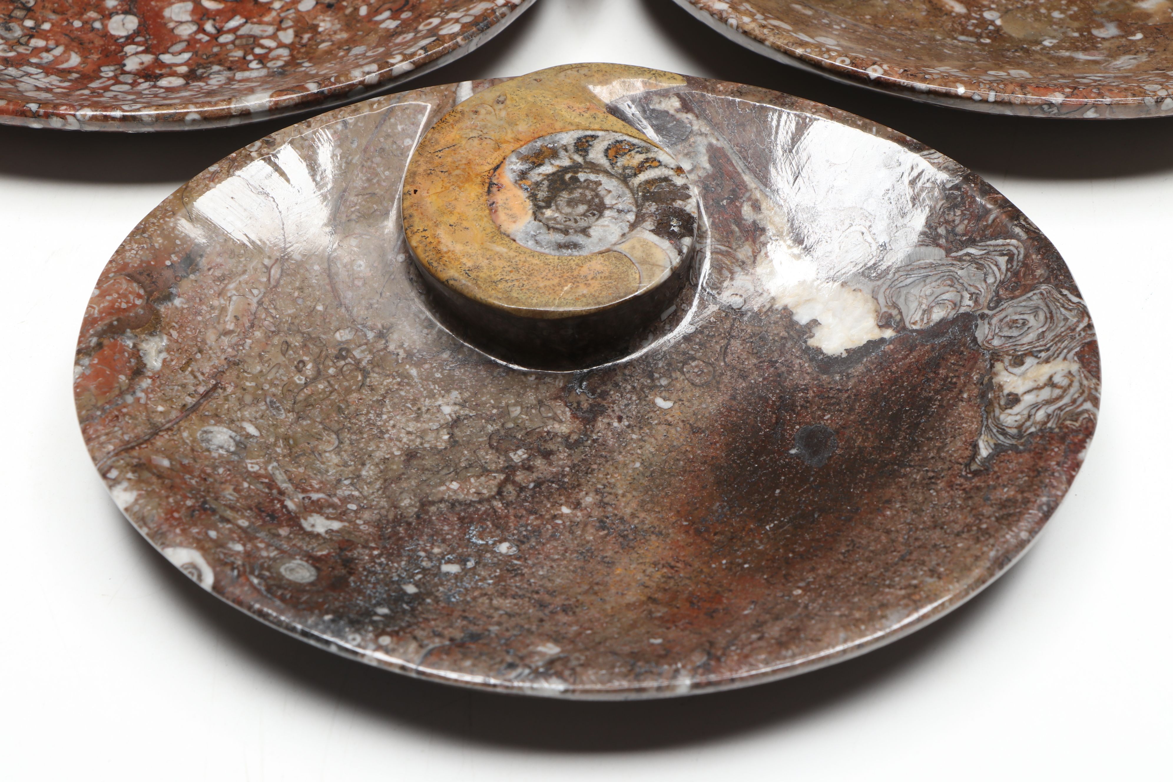 Carved and Polished Ammonoid in Matrix Low Bowls