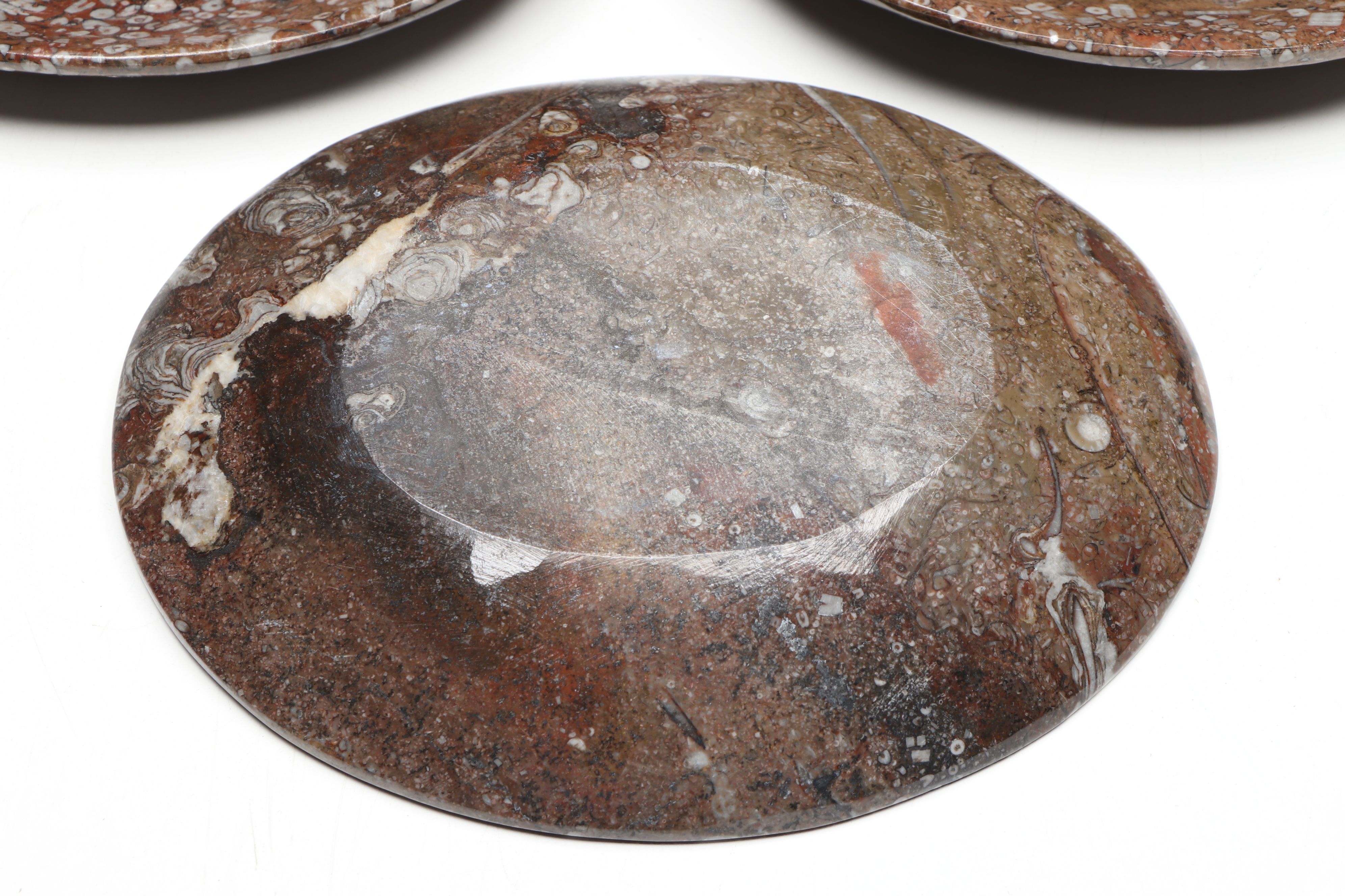 Carved and Polished Ammonoid in Matrix Low Bowls