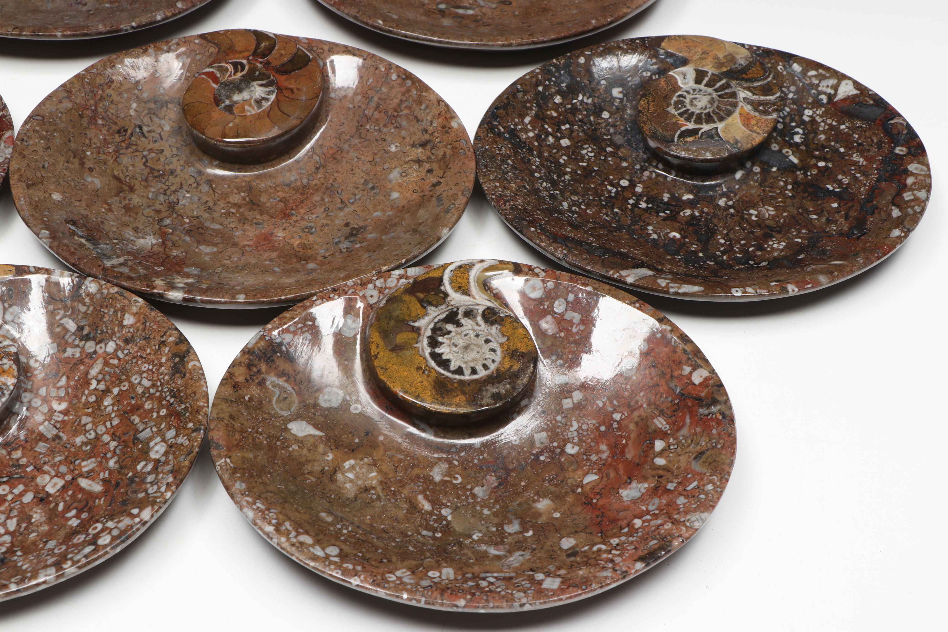 Carved and Polished Ammonoid in Matrix Low Bowls