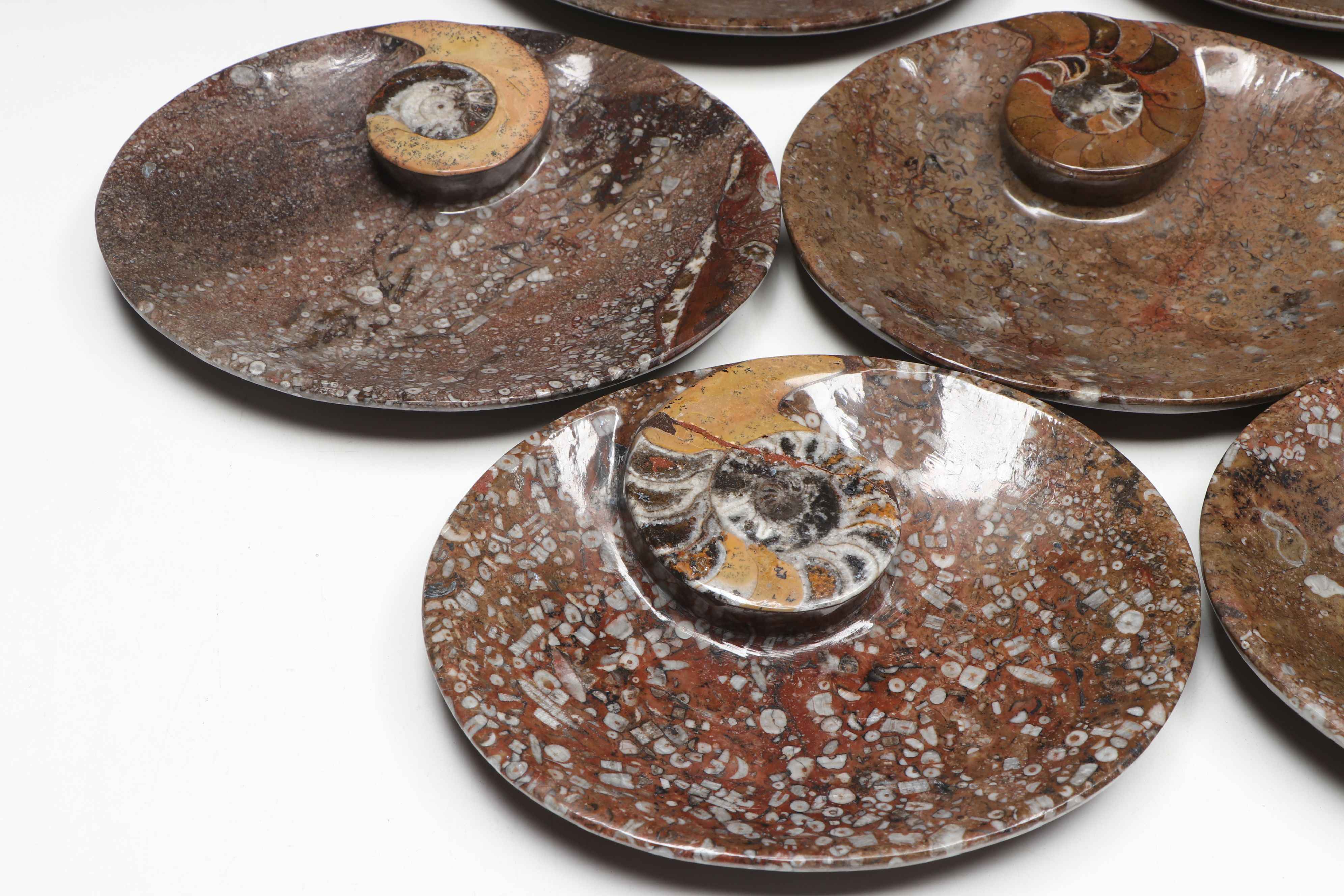 Carved and Polished Ammonoid in Matrix Low Bowls