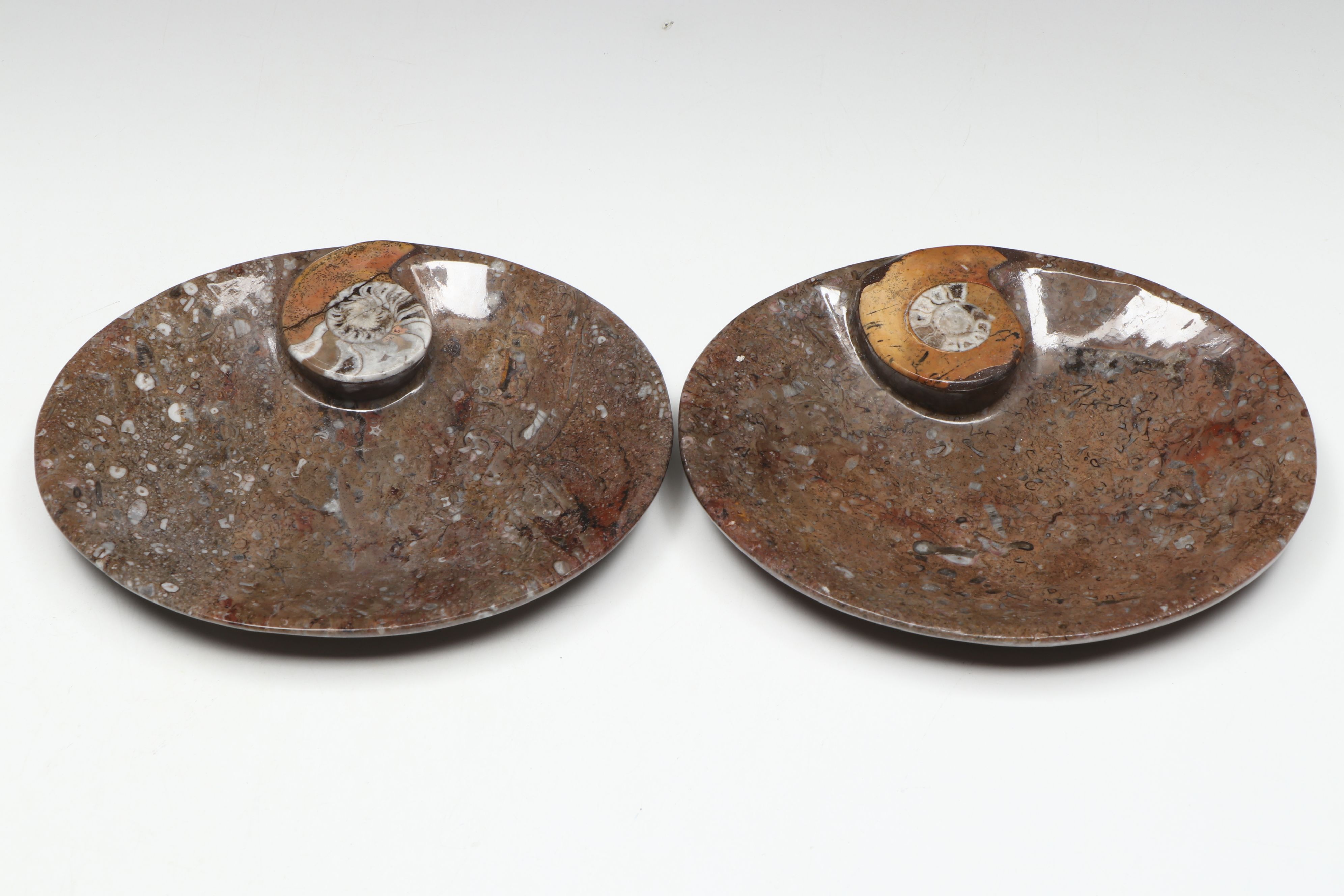 Carved and Polished Ammonoid in Matrix Low Bowls