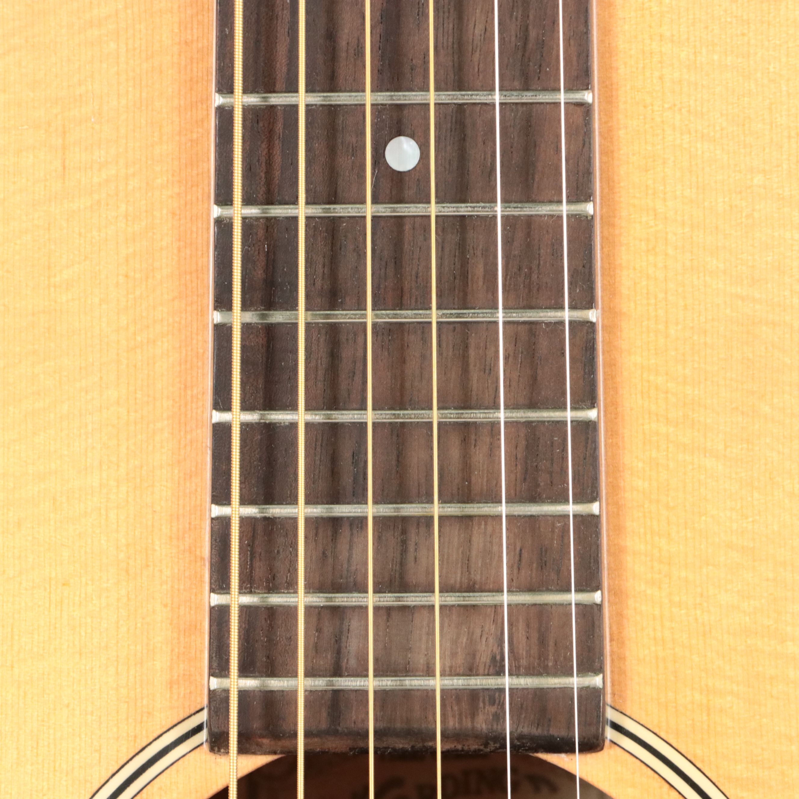 Recording King Spruce Top and Mahogany Acoustic Guitar