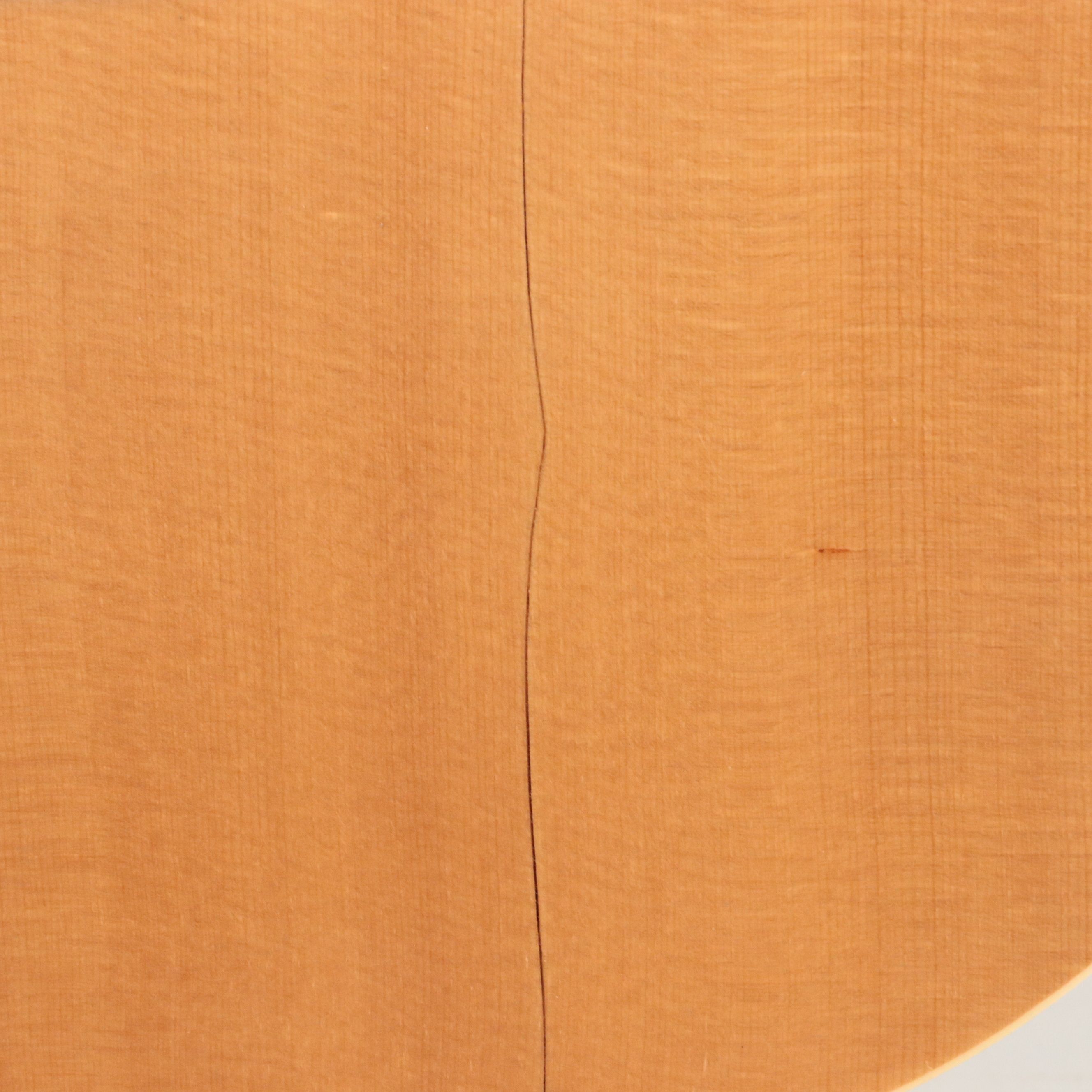 Recording King Spruce Top and Mahogany Acoustic Guitar