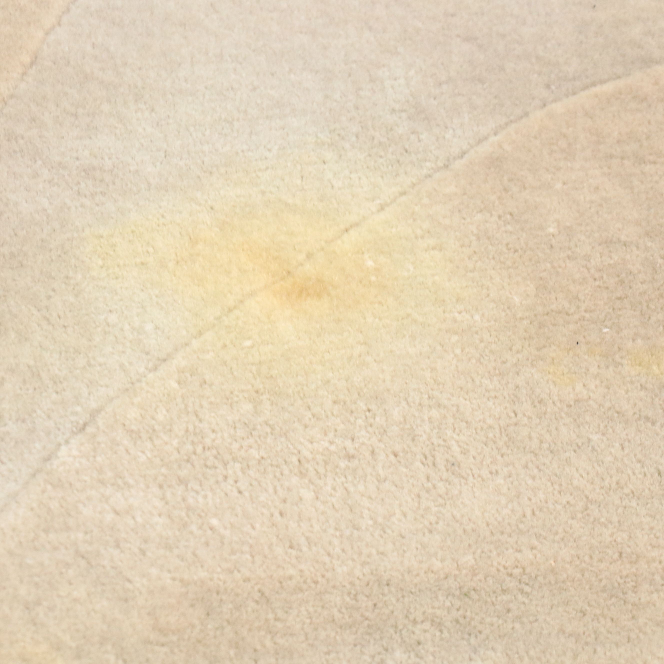 8' x 11'10 Hand-Knotted Signed Chinese Pictorial Peacock Area Rug