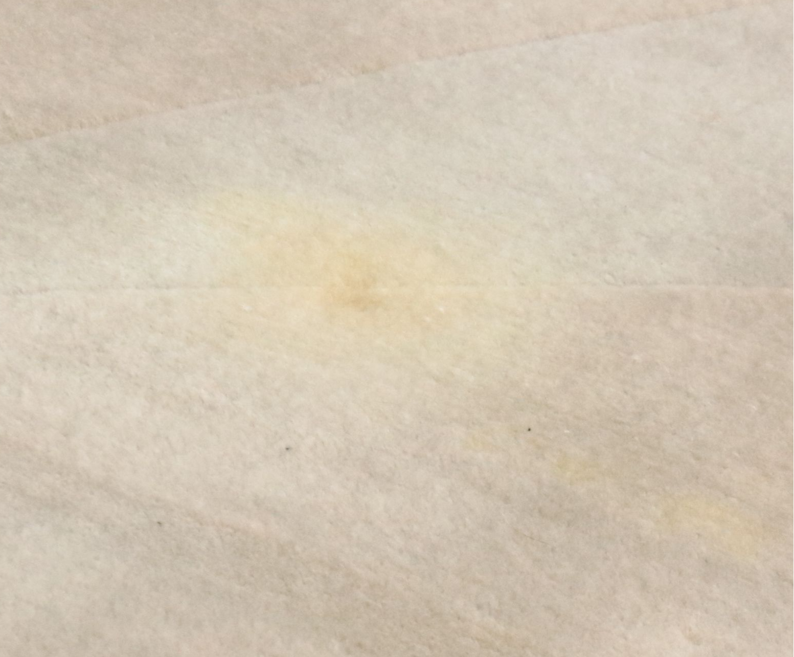 8' x 11'10 Hand-Knotted Signed Chinese Pictorial Peacock Area Rug