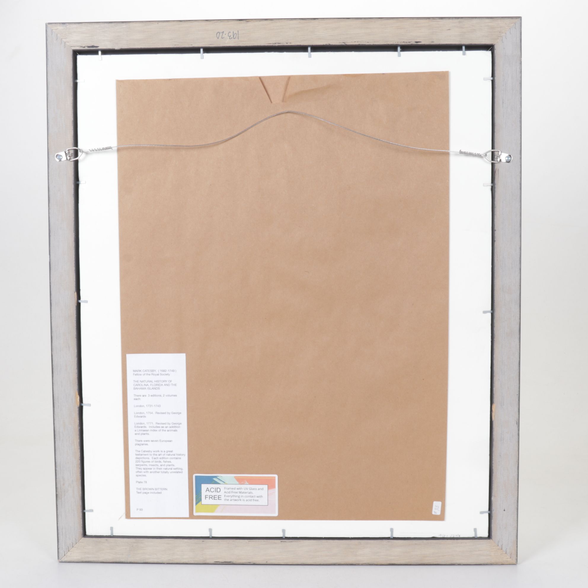 Mark Catesby Hand-Colored Ornithological Engraving "The Brown Bittern", 1754