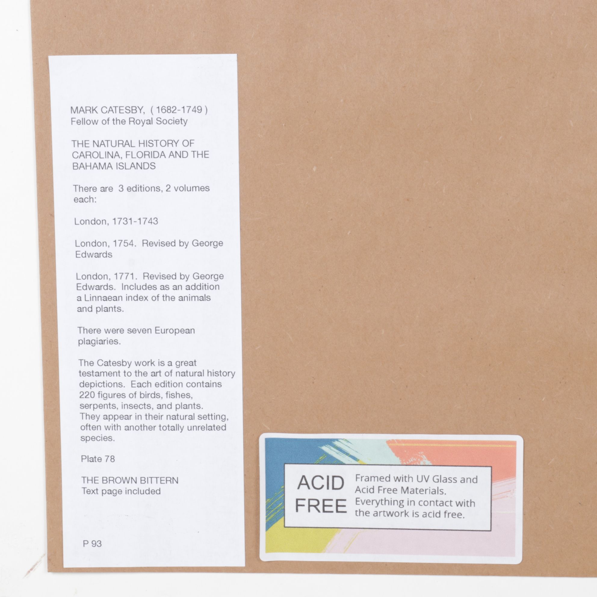 Mark Catesby Hand-Colored Ornithological Engraving "The Brown Bittern", 1754