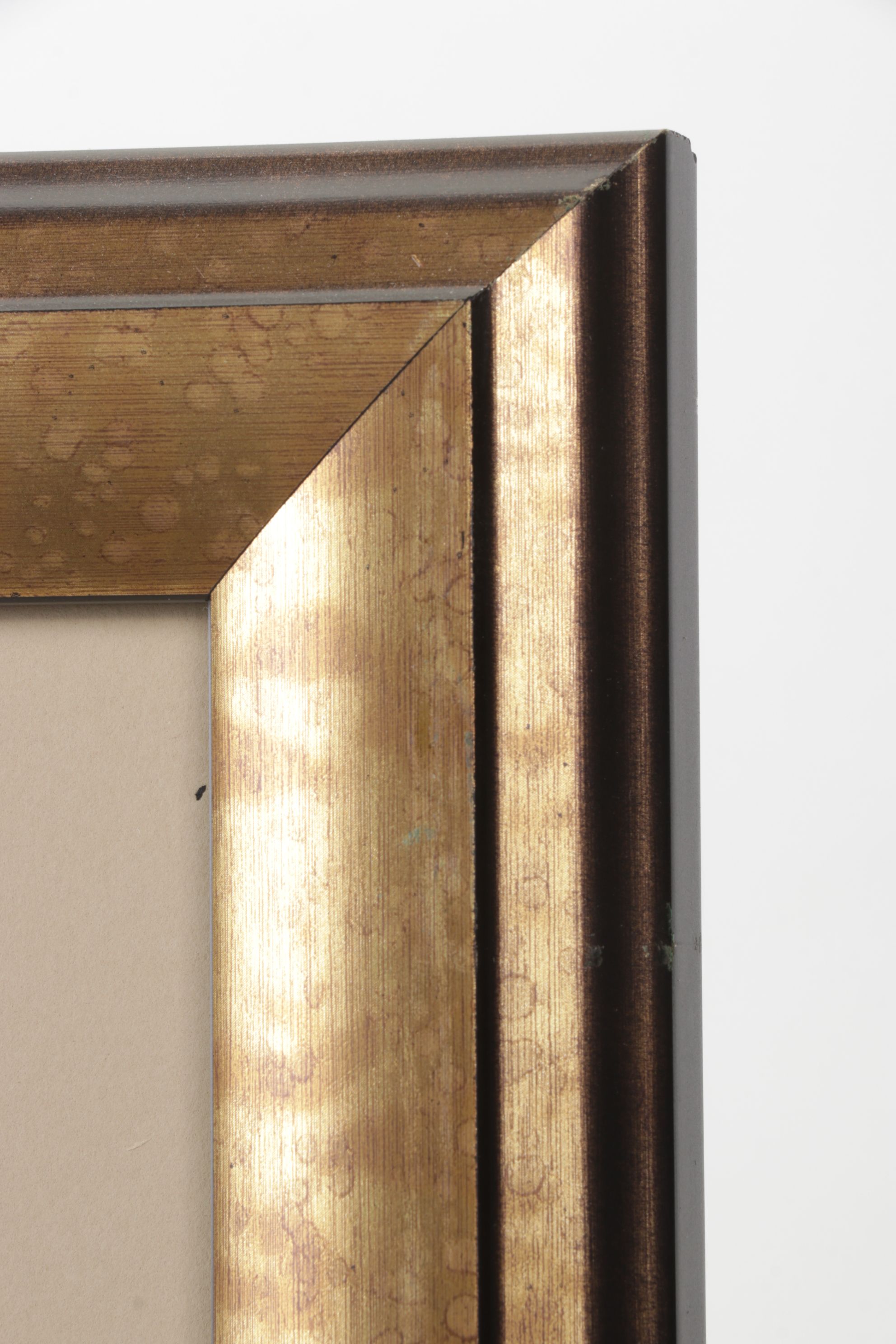 Mark Catesby Hand-Colored Ornithological Engraving "The Pied-Bill Dopchick"