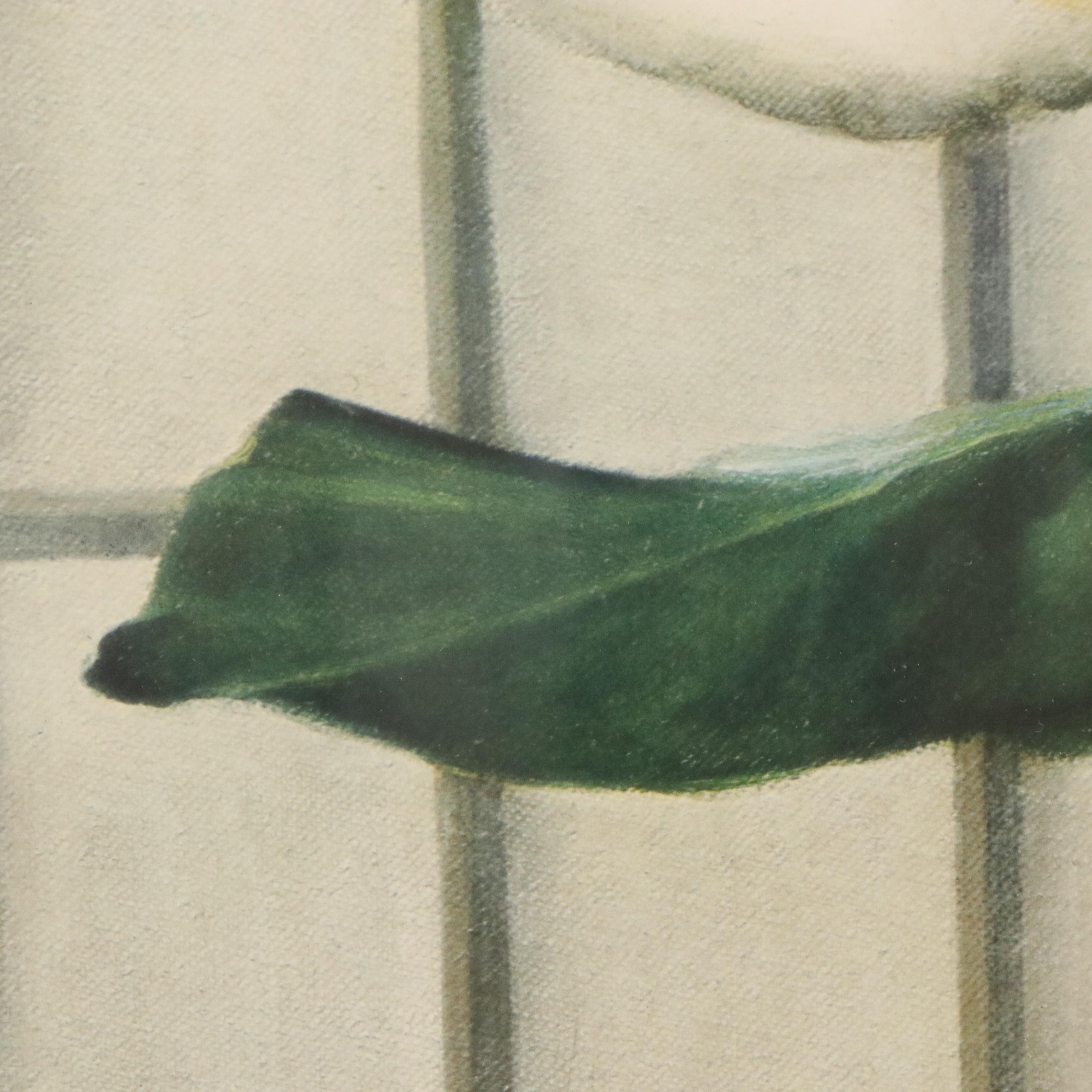 Ethelyn Cosby Stewart Collotype "Magnolias"