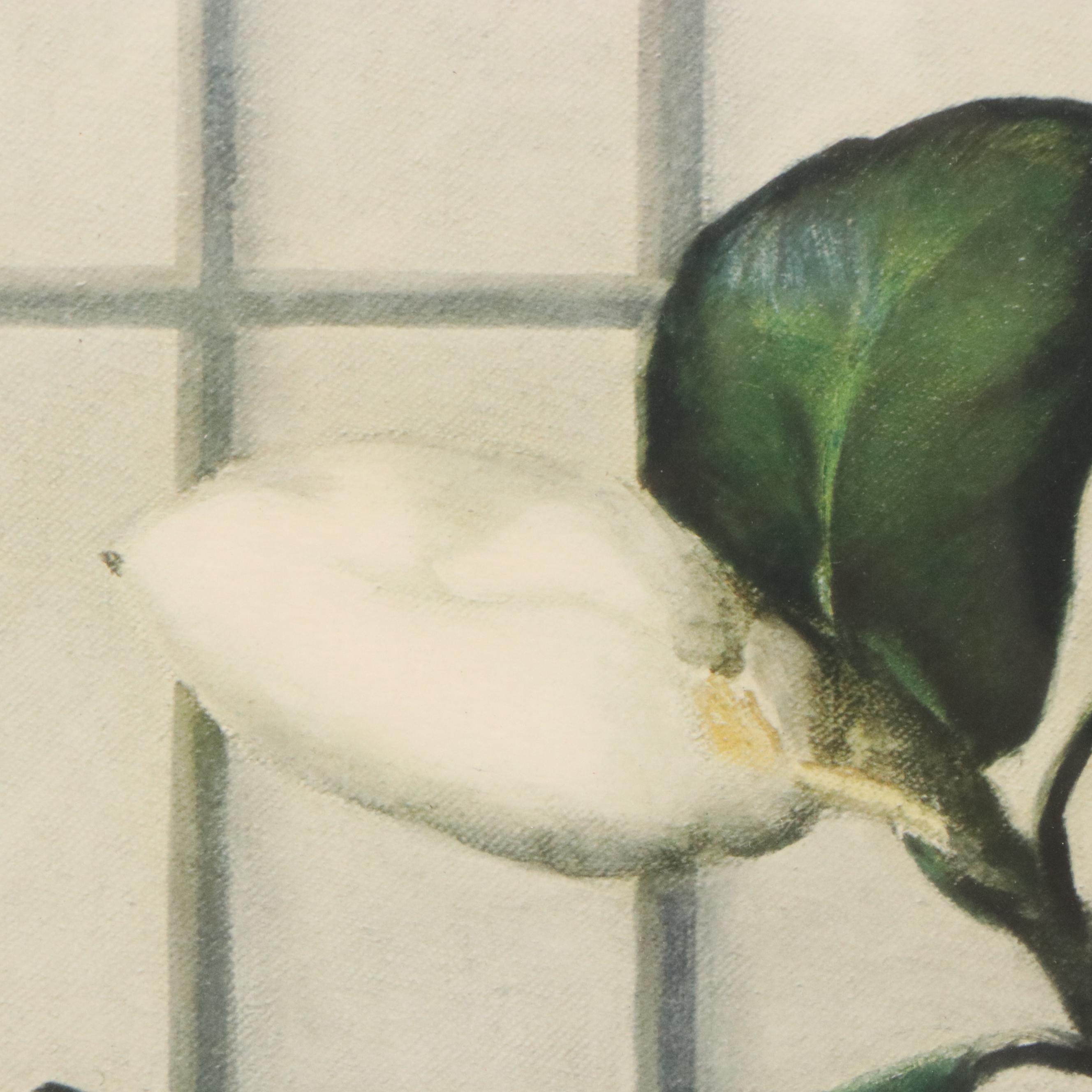 Ethelyn Cosby Stewart Collotype "Magnolias"