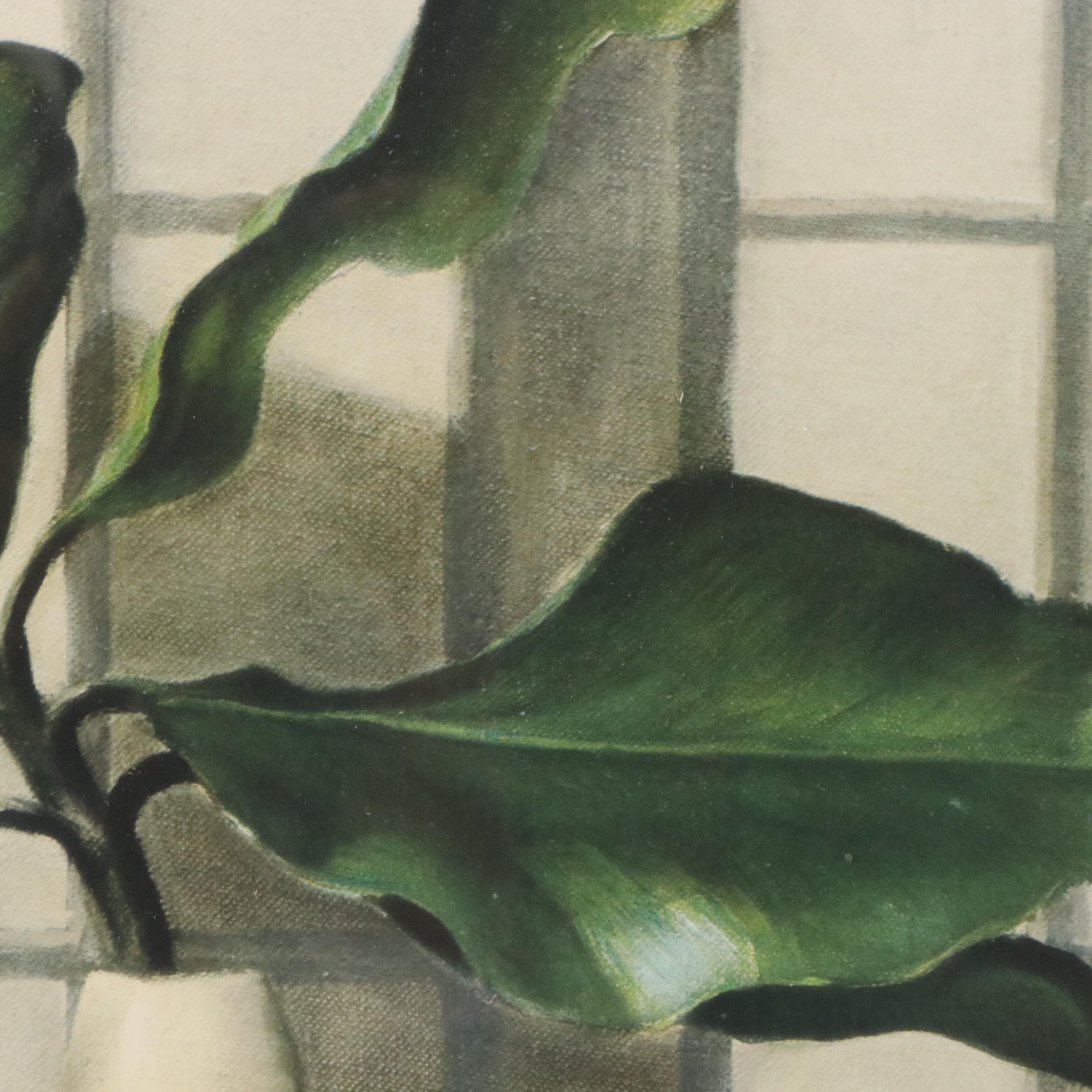 Ethelyn Cosby Stewart Collotype "Magnolias"