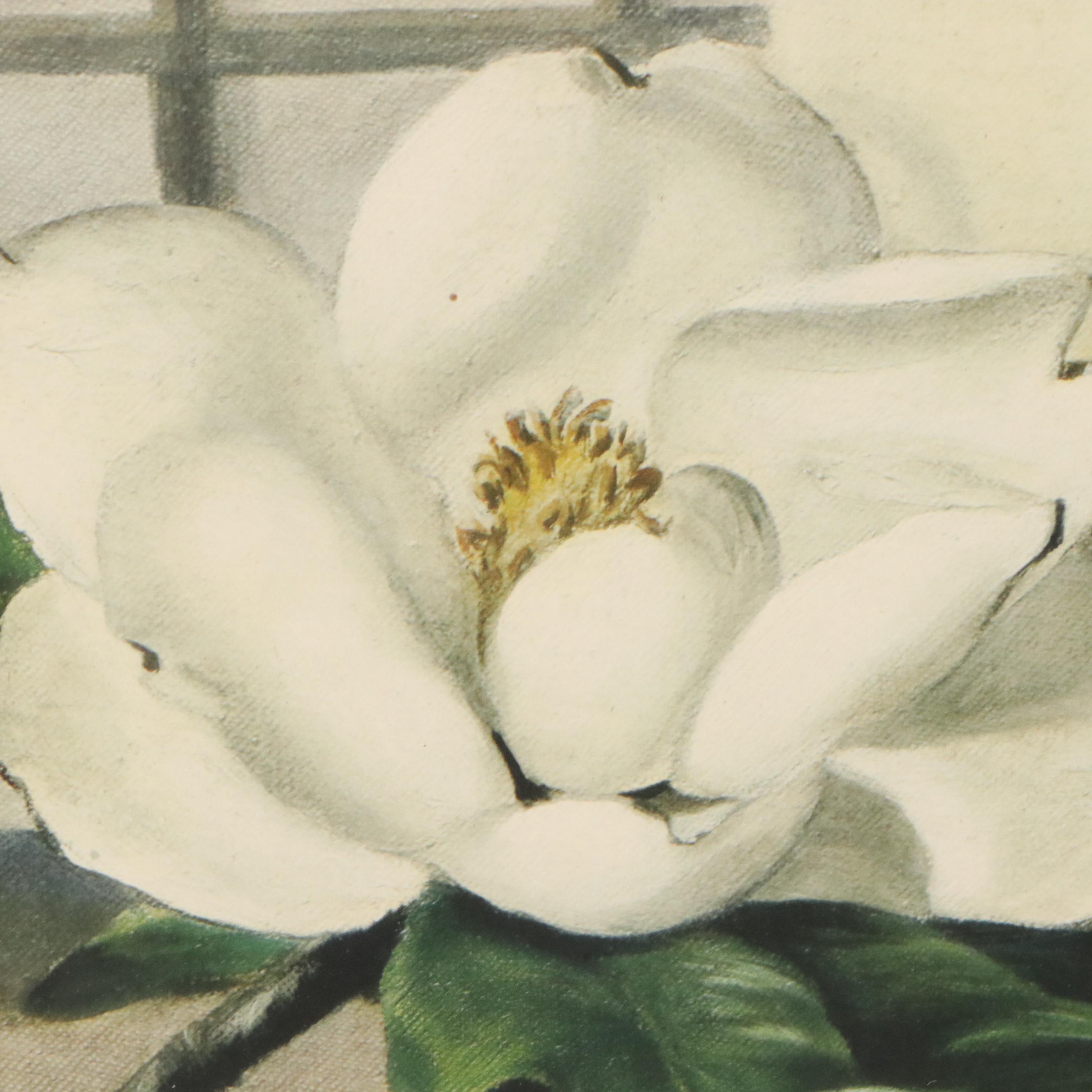 Ethelyn Cosby Stewart Collotype "Magnolias"