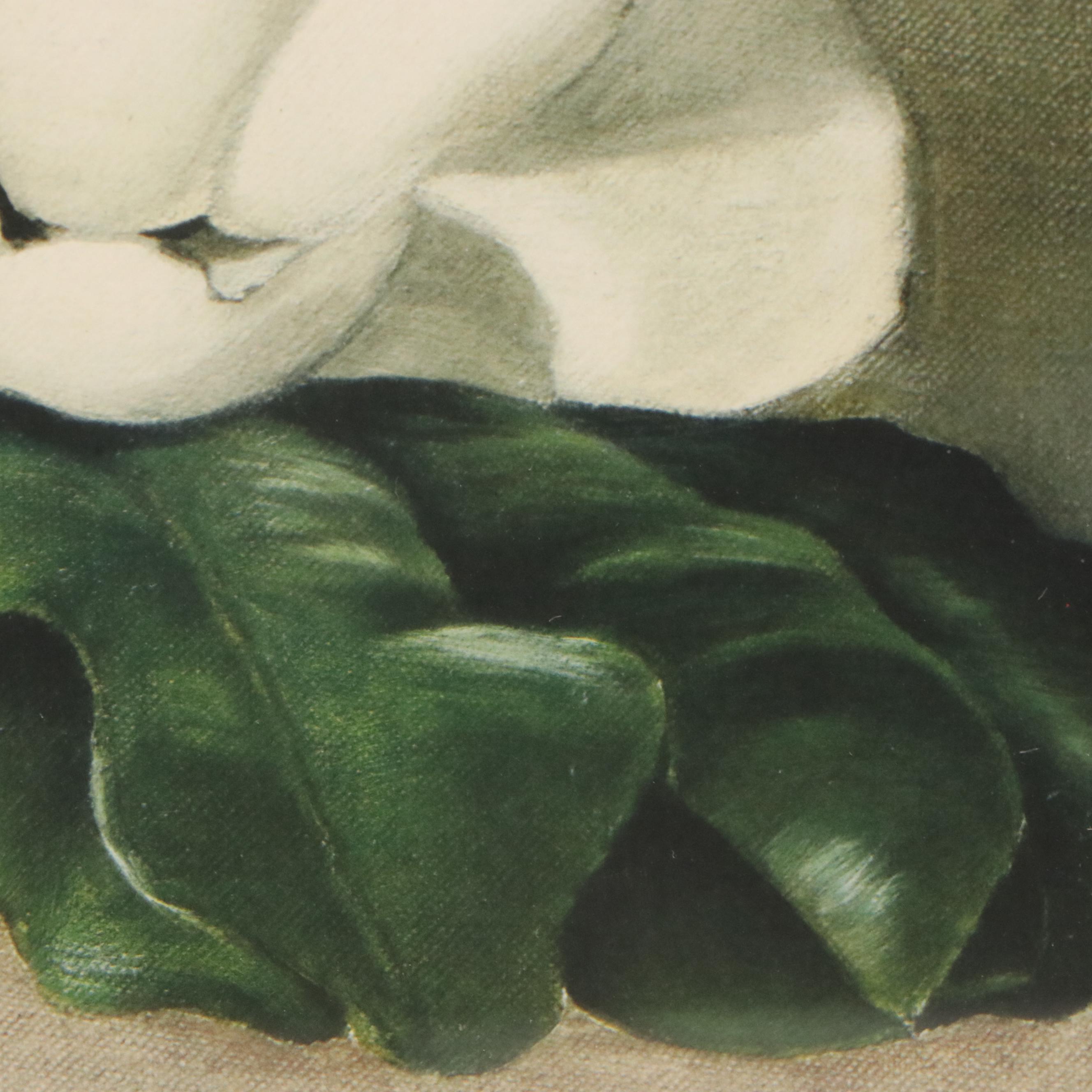 Ethelyn Cosby Stewart Collotype "Magnolias"