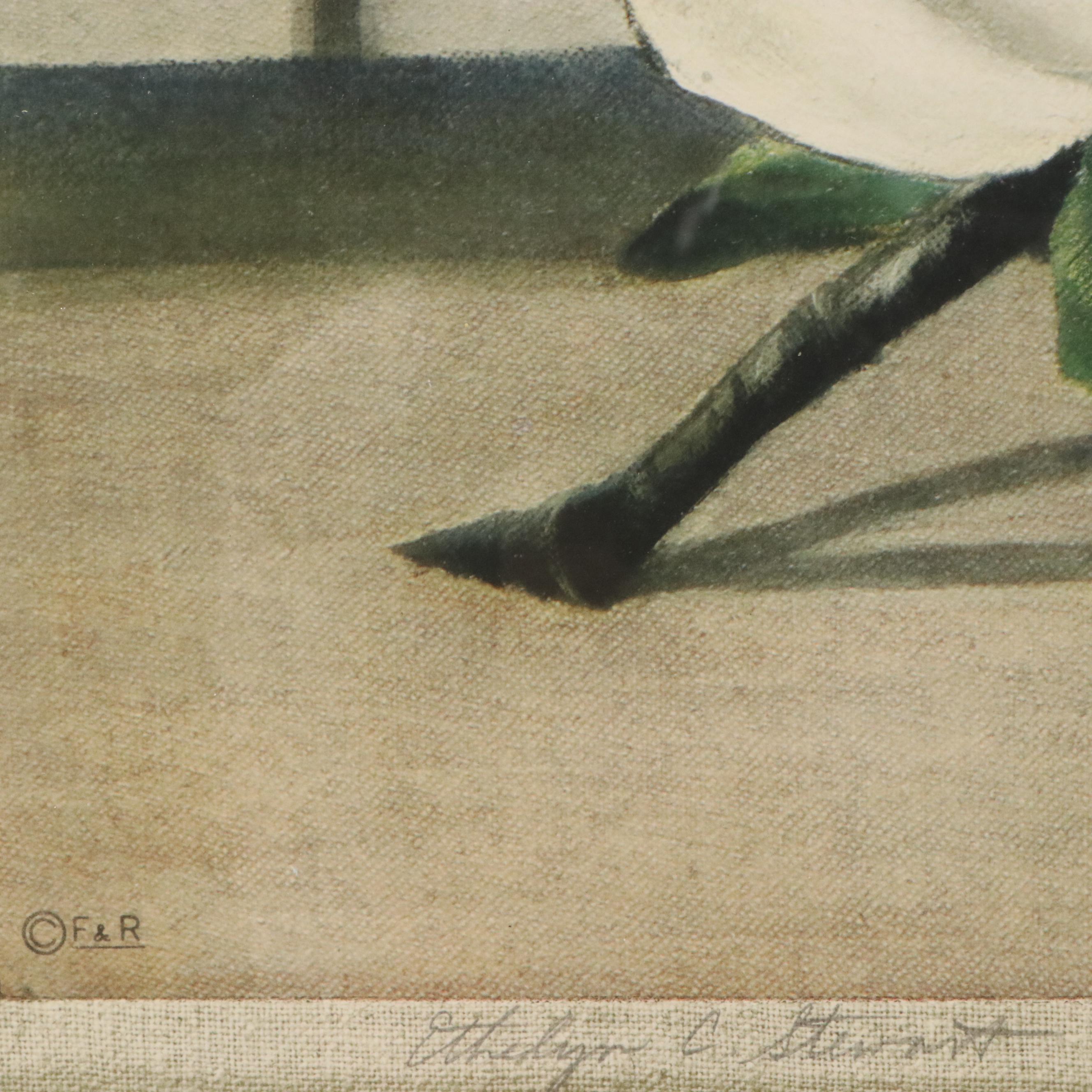 Ethelyn Cosby Stewart Collotype "Magnolias"