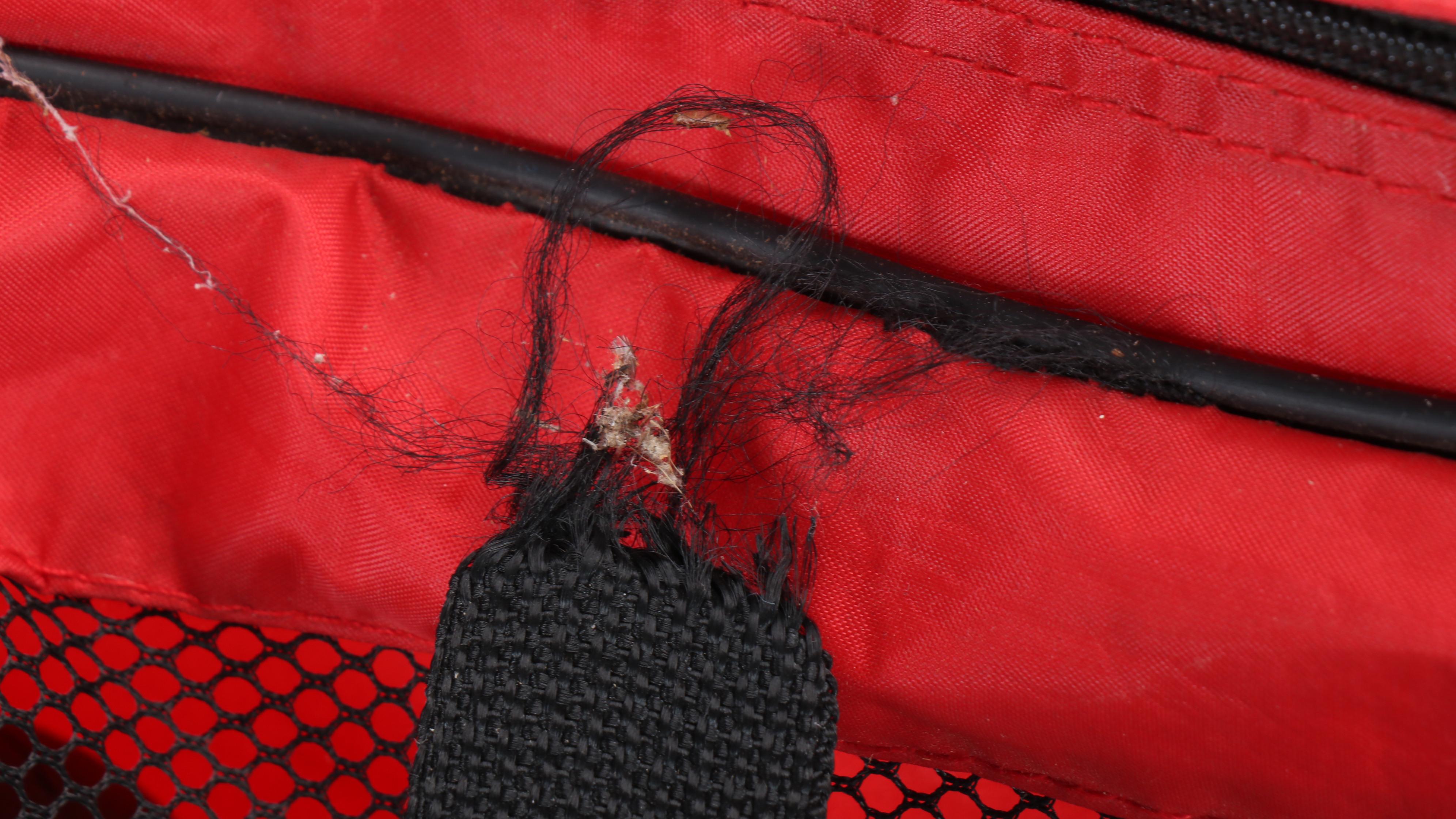 Child's Size Folding Camp Chairs, Croquet Set, and More Outdoor Equipment