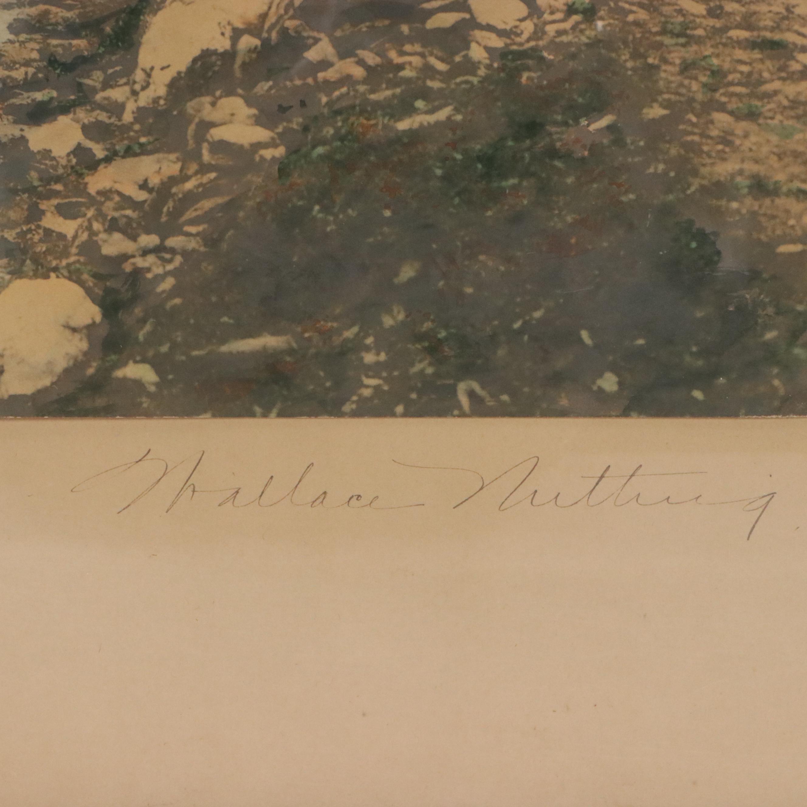 Wallace Nutting Hand-Colored Photograph "A Berkshire Beach"