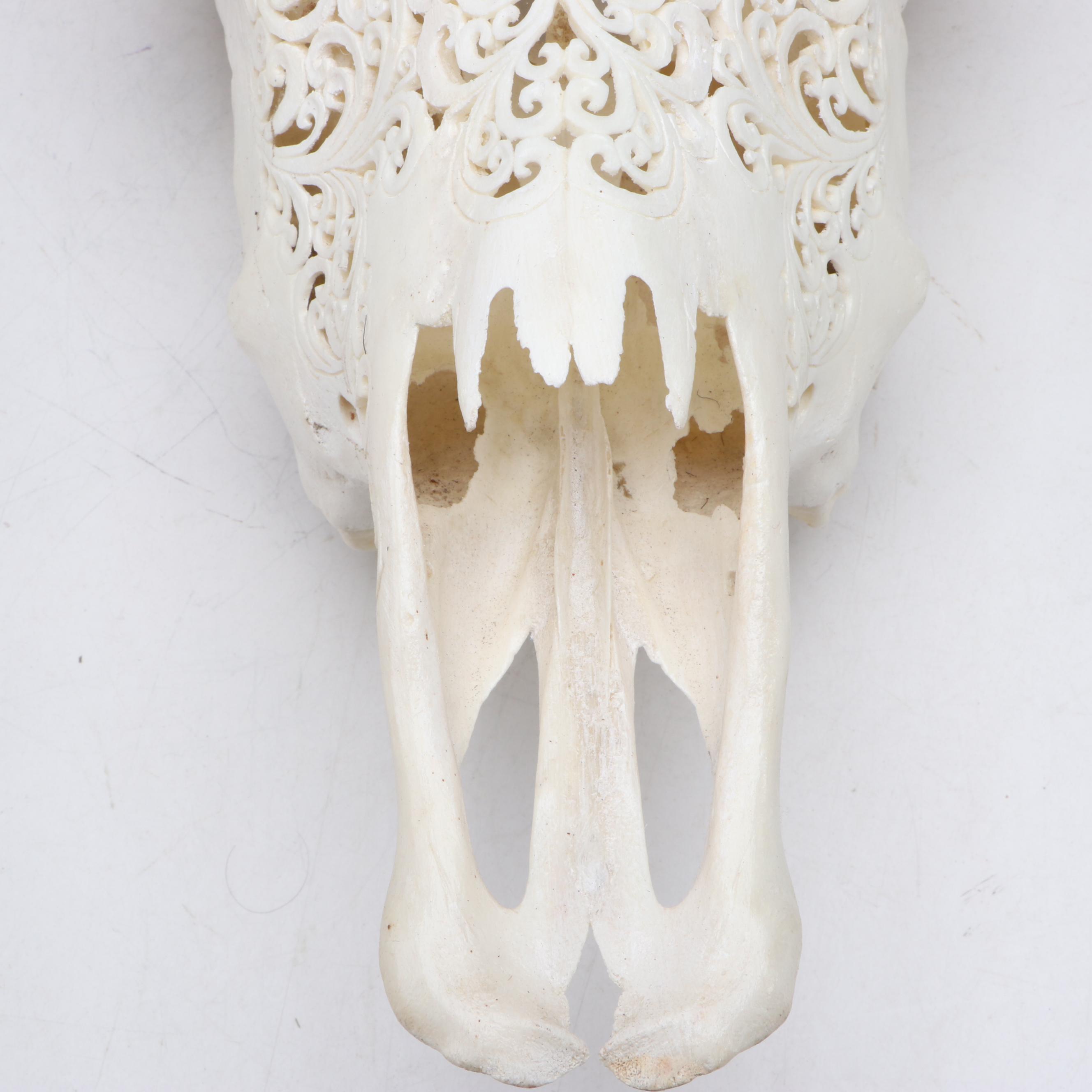 Hand-Carved Steer Skull