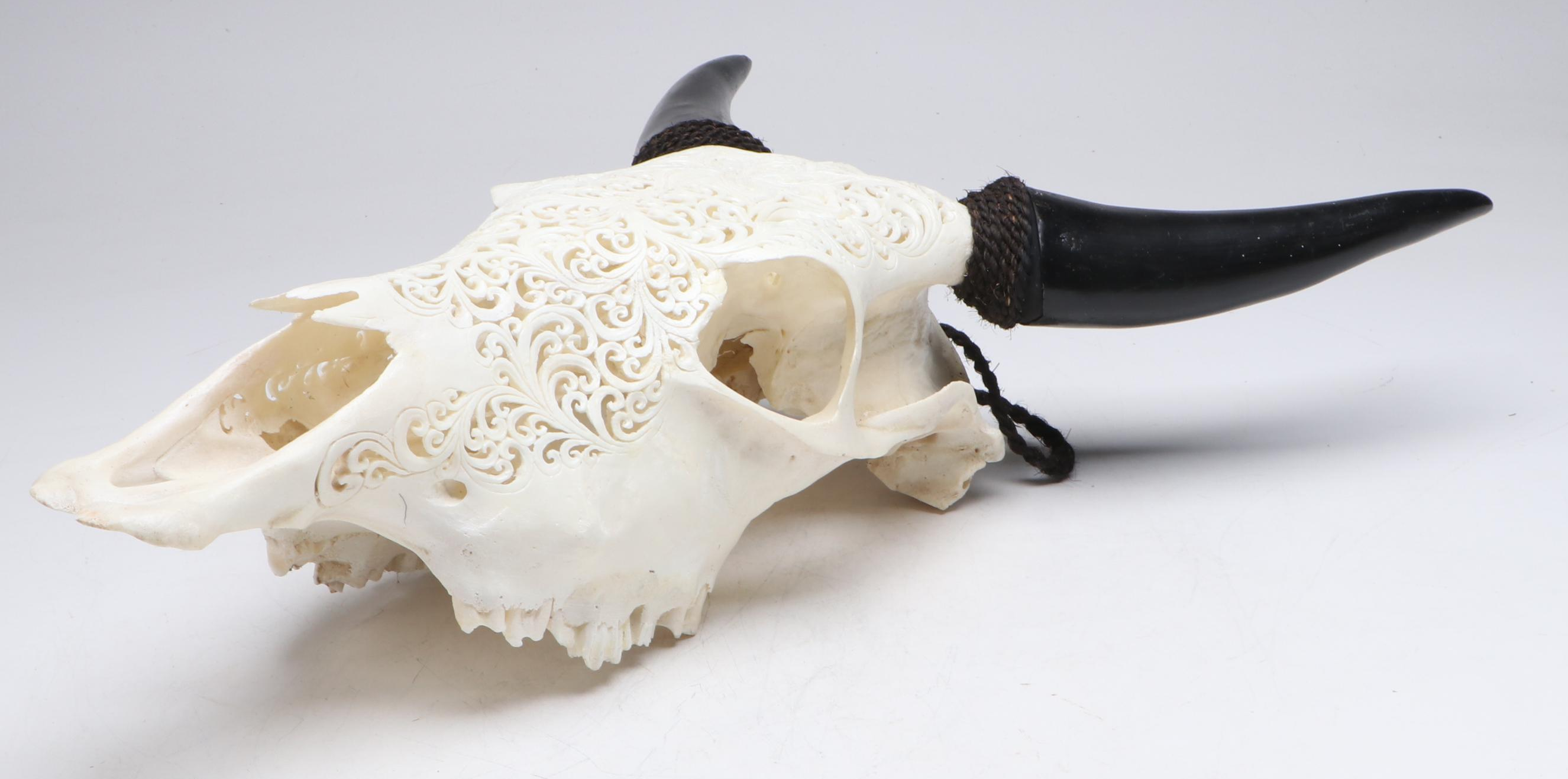 Hand-Carved Steer Skull