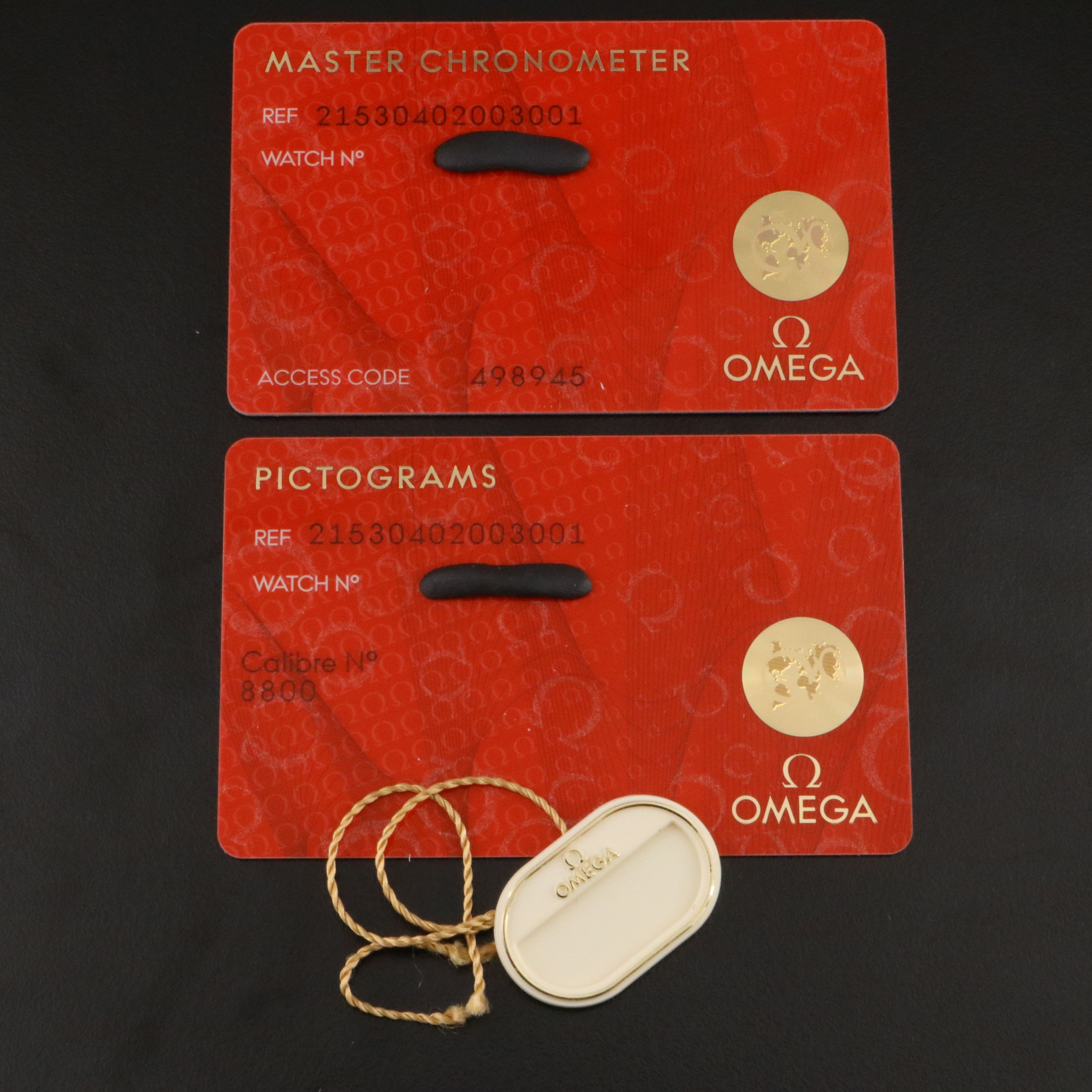 Omega Seamaster Professional 600M Planet Ocean Watch