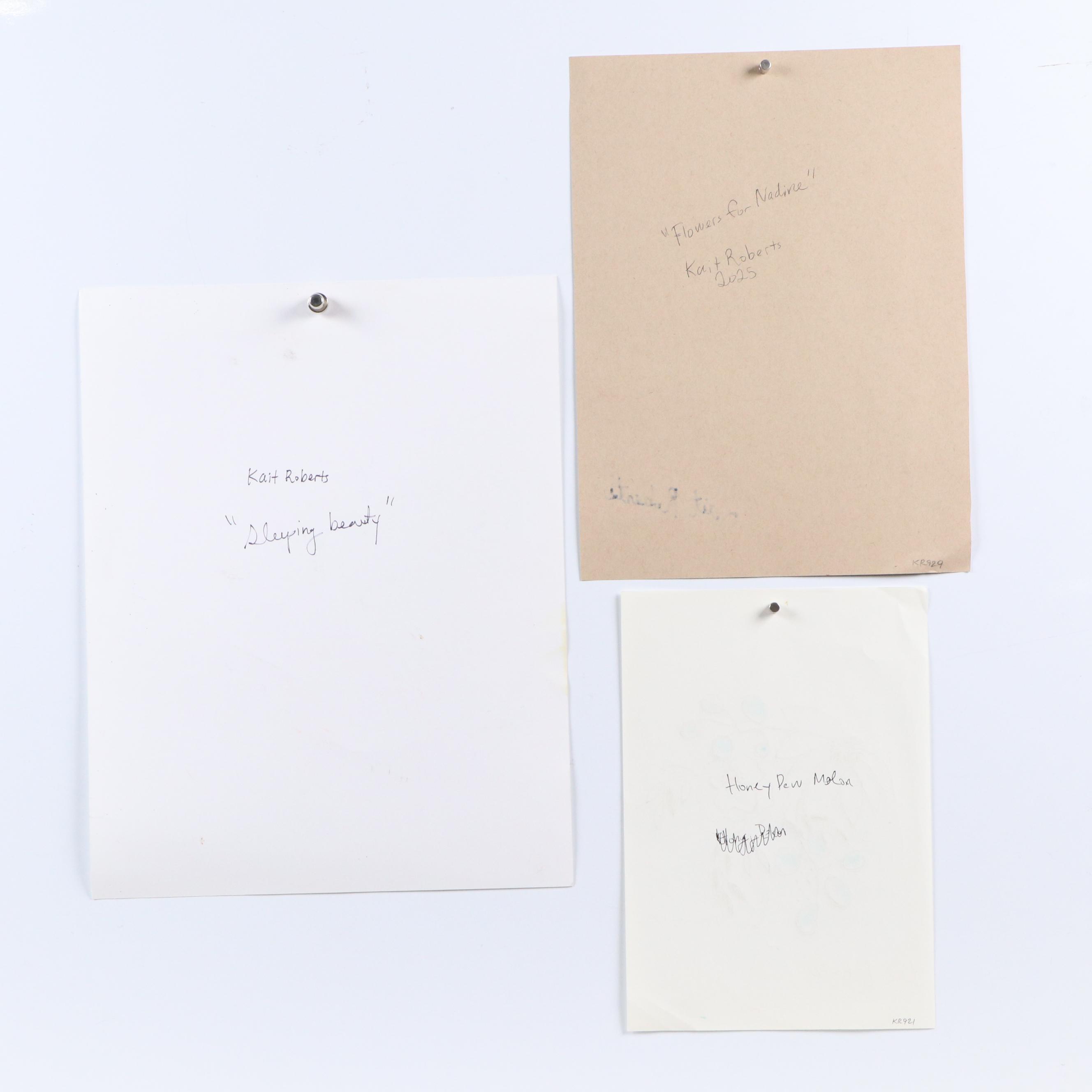 Kait Roberts Mixed Media Drawings "Honey Dew Melon" and More, 2025