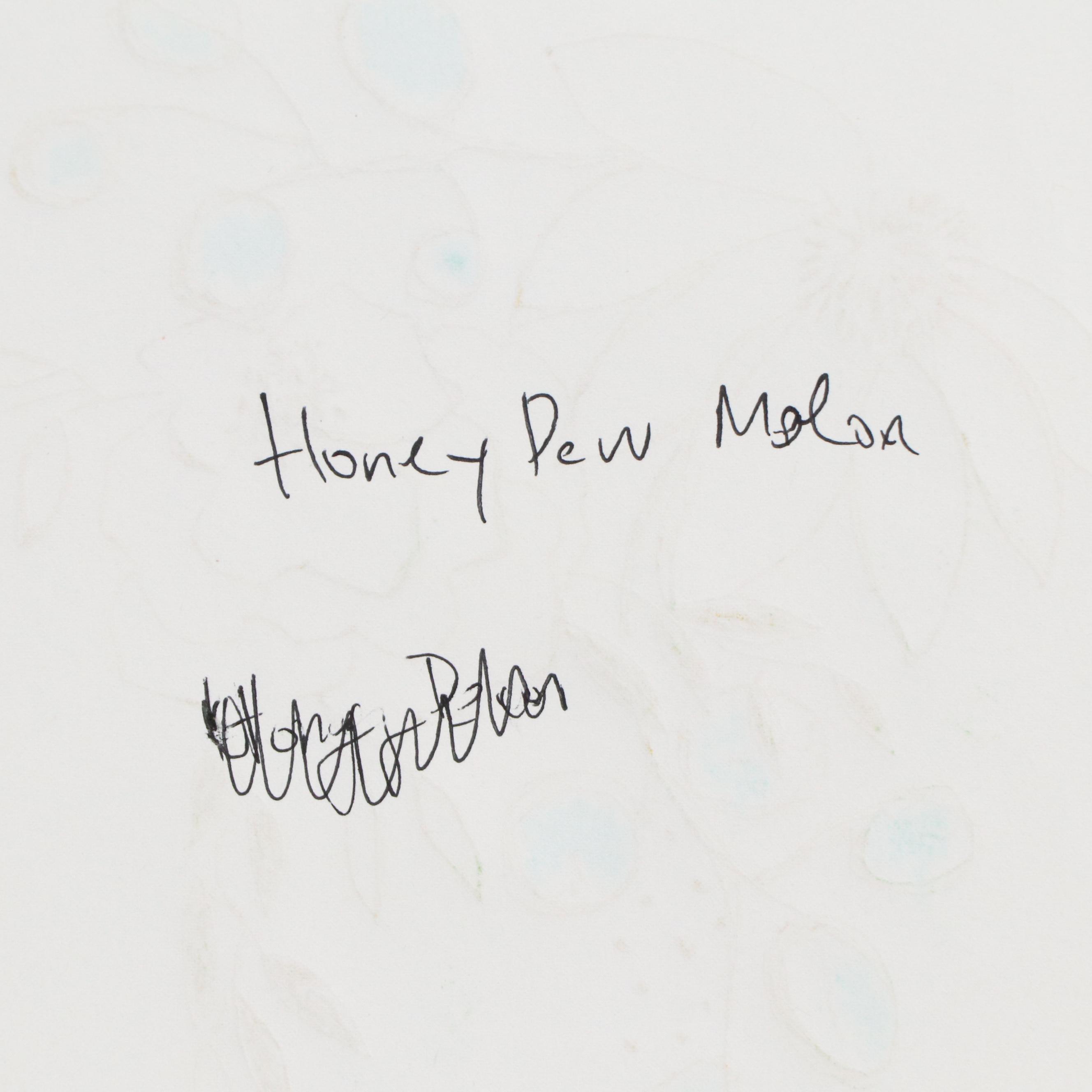 Kait Roberts Mixed Media Drawings "Honey Dew Melon" and More, 2025