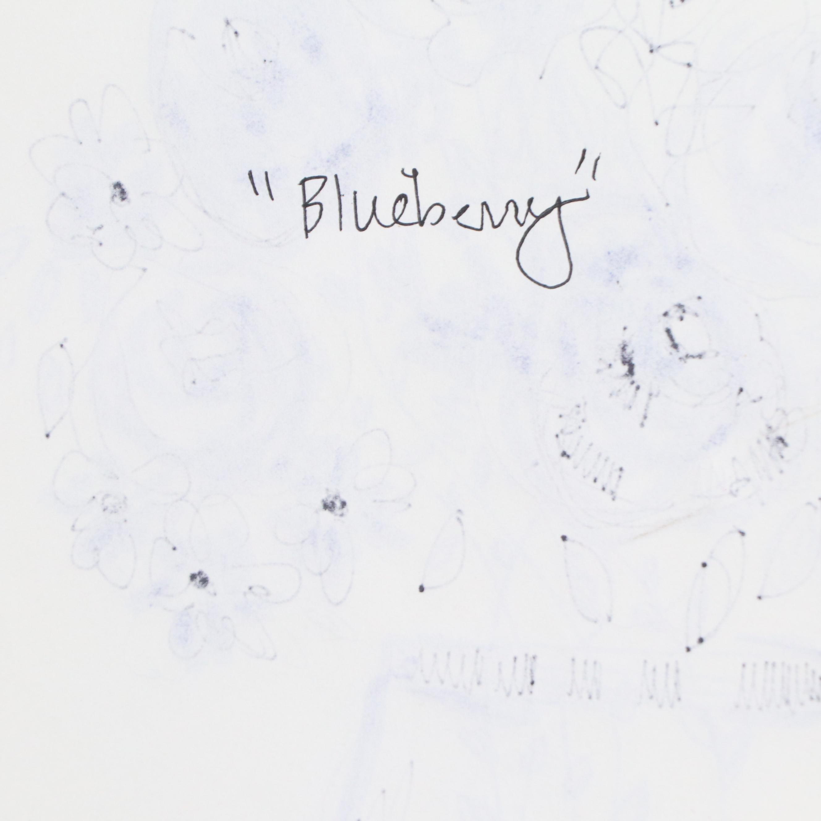 Kait Roberts Mixed Media Paintings "Blueberry" and More, 2024