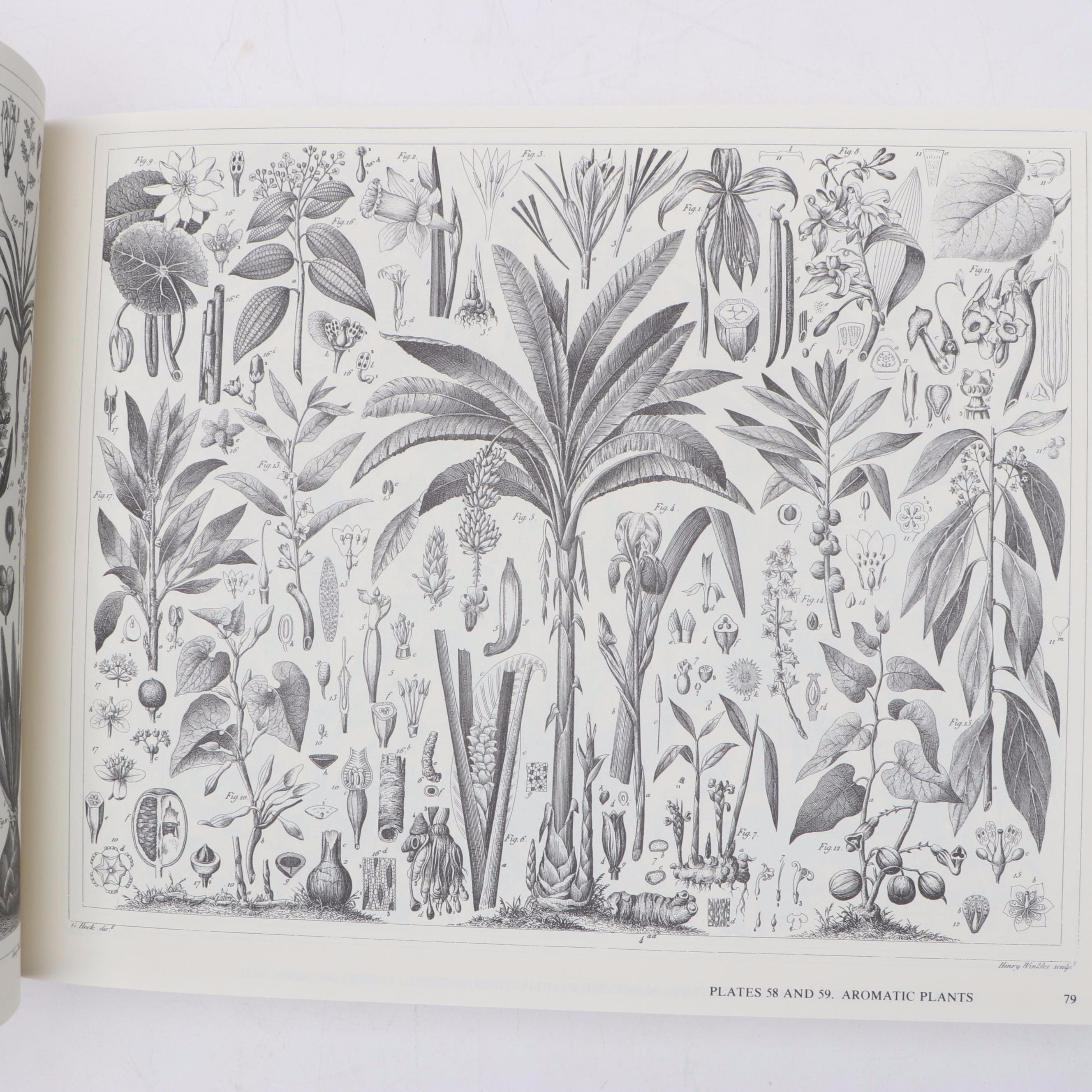 "The Complete Encyclopedia of Illustration" by J. G. Heck, 1979