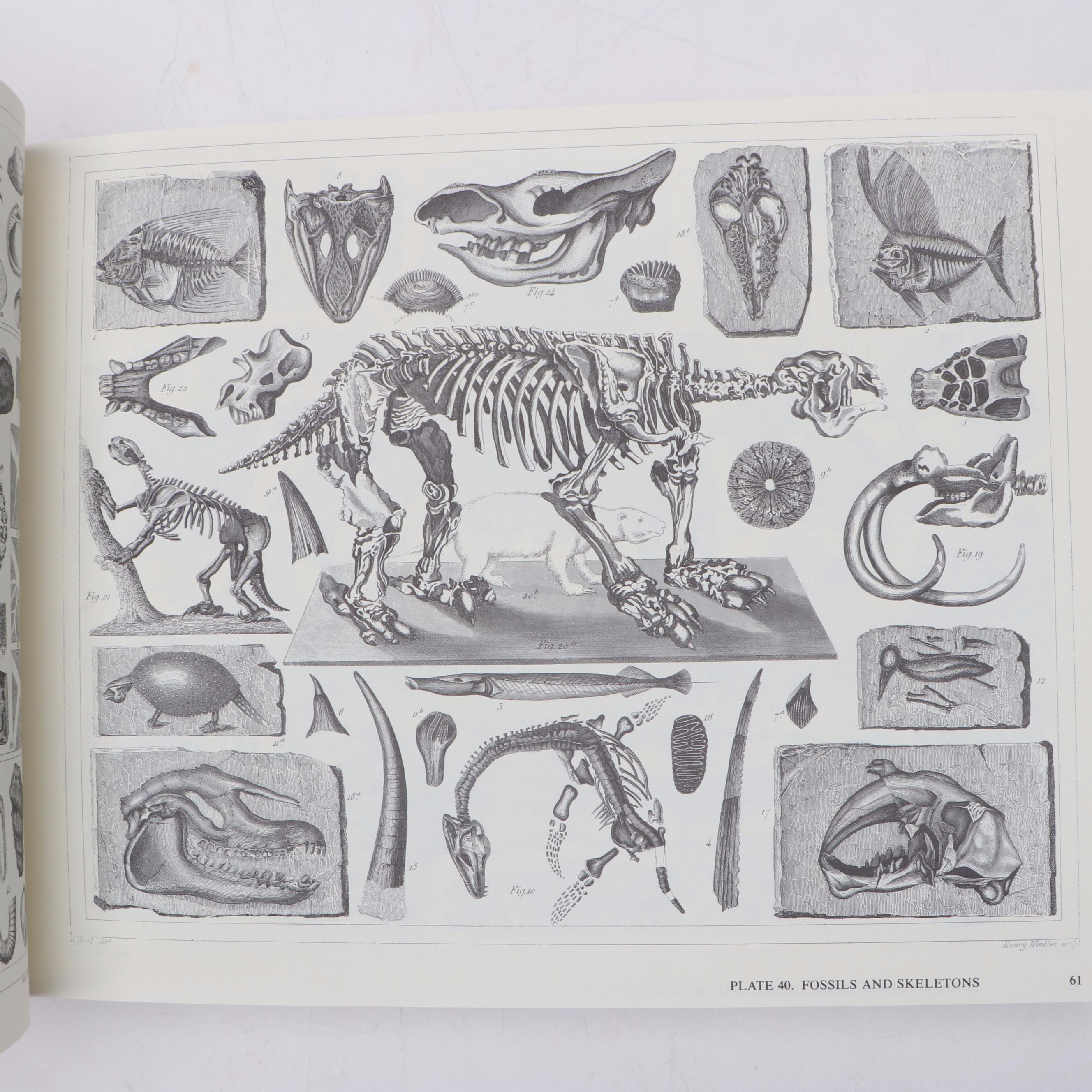 "The Complete Encyclopedia of Illustration" by J. G. Heck, 1979