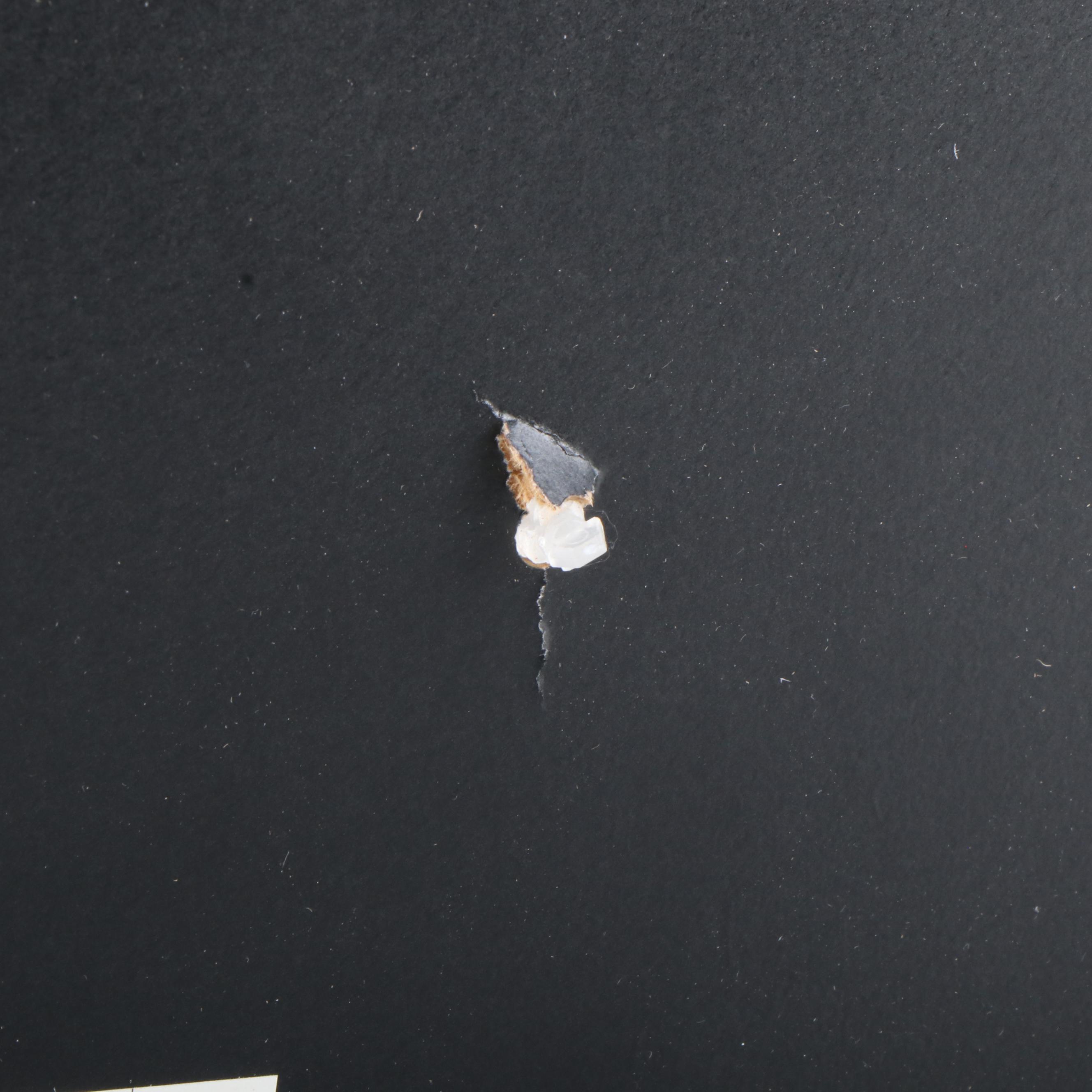 Taylor Swift Signed "The Tortured Poets Department" CD Card in Frame