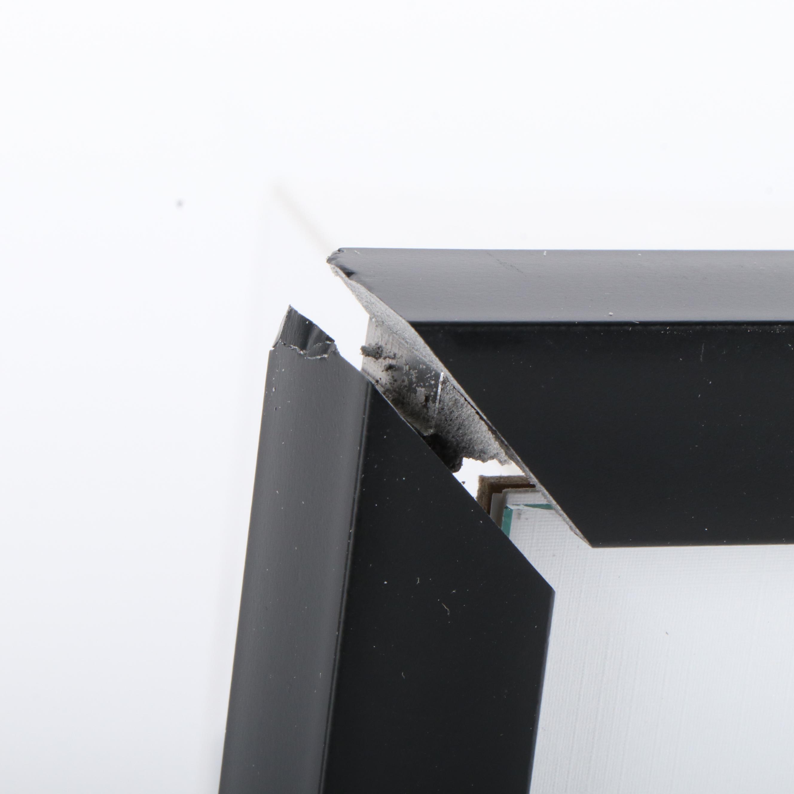 Taylor Swift Signed "The Tortured Poets Department" CD Card in Frame