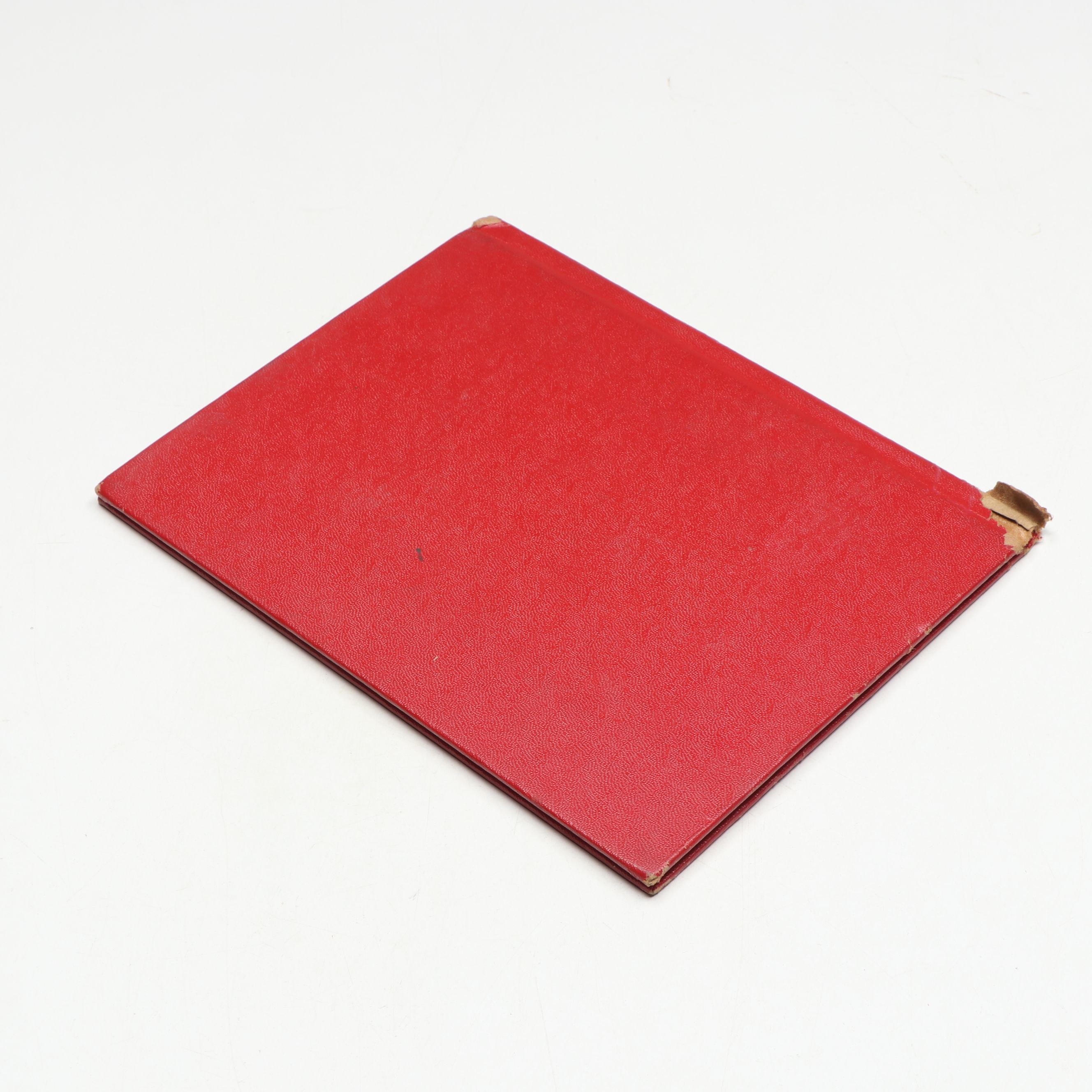 "The Little Engine That Could," "A Dozen Dogs or So," and More Books