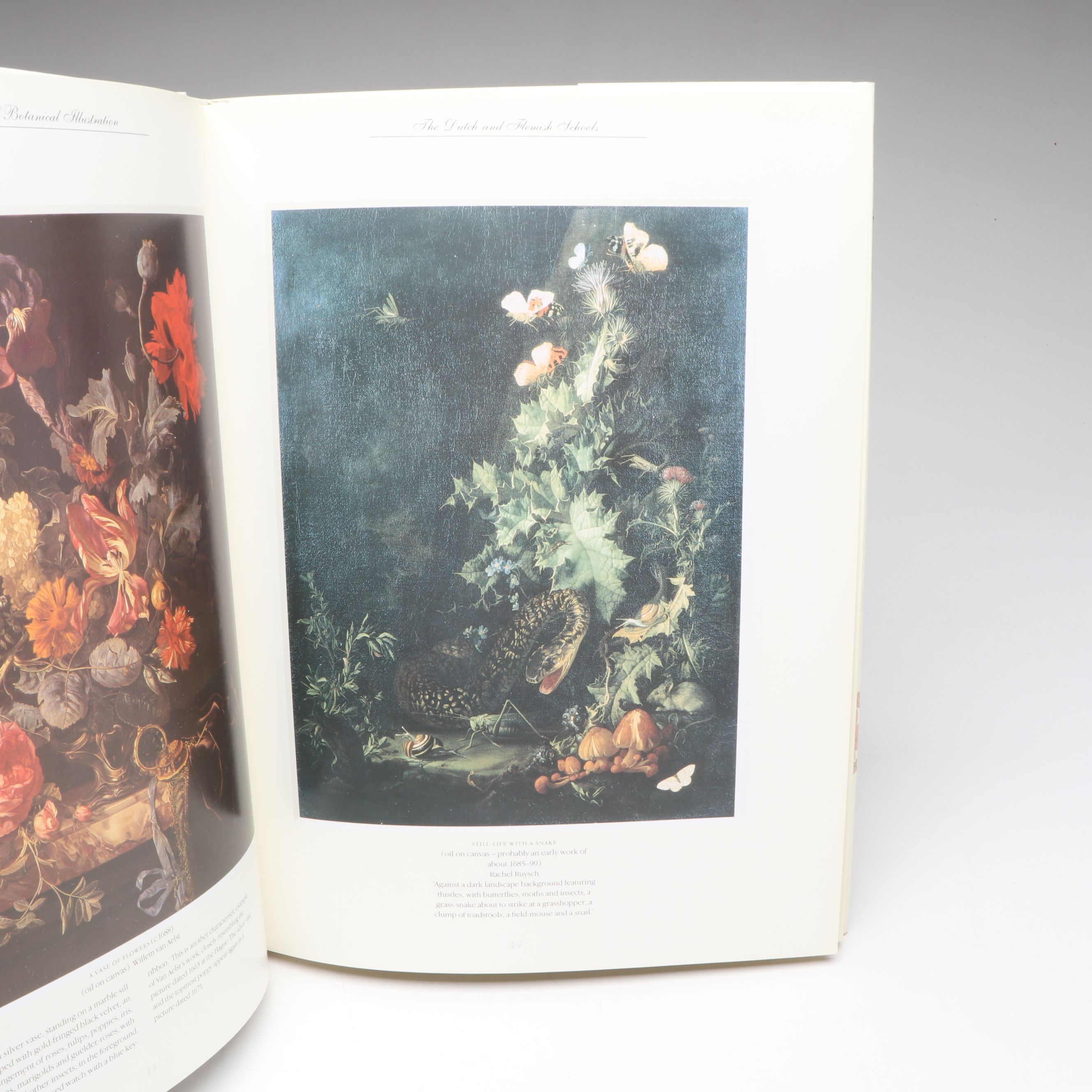 "The Genus Lavandula," "Peonies: The Imperial Flowers," and More Gardening Books